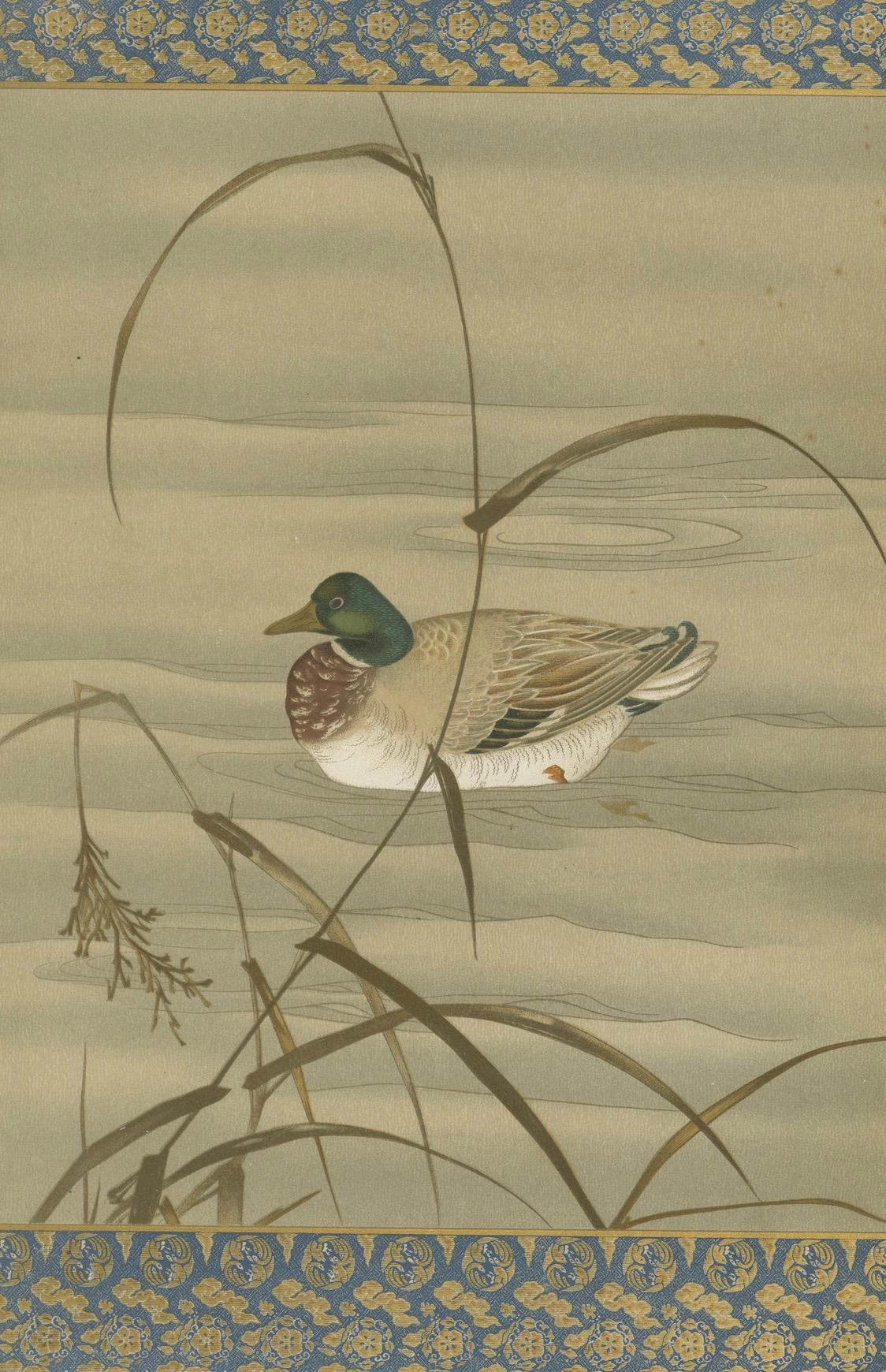 Paper Antique Japanese Waterfowl Print: Tranquil Duck in Reeds, 19th Century For Sale