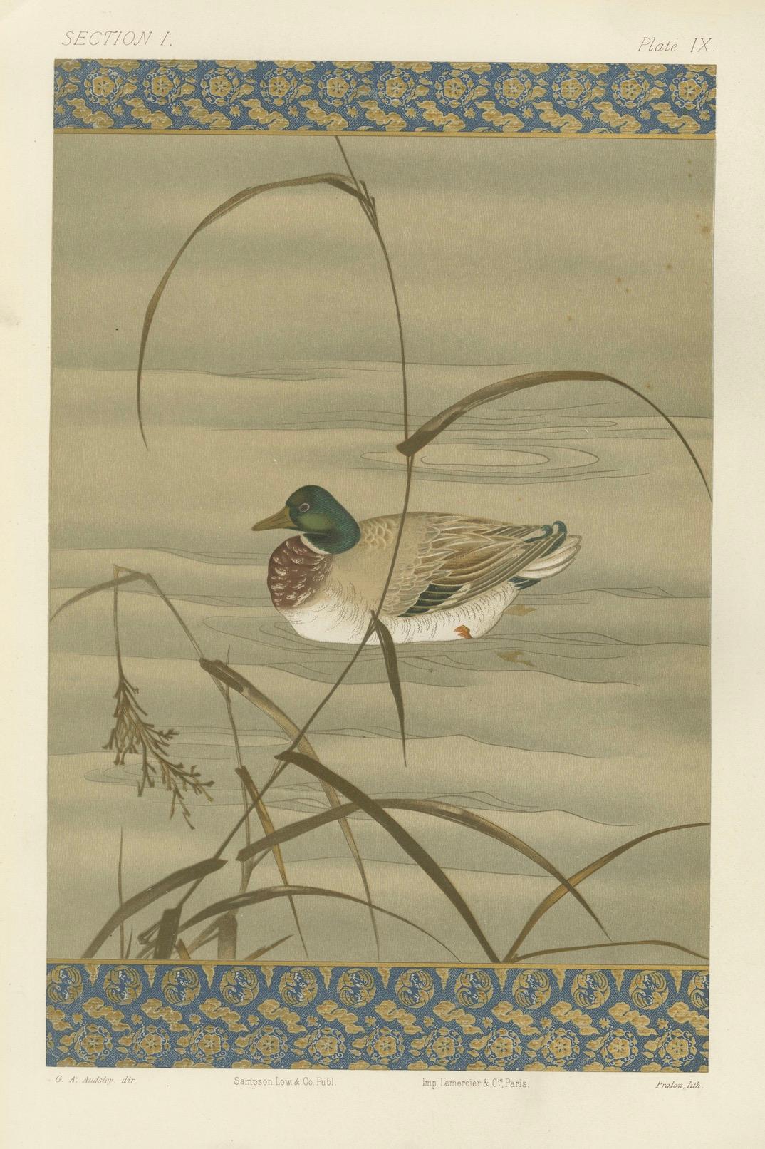 Antique Japanese Waterfowl Print: Tranquil Duck in Reeds, 19th Century For Sale 1