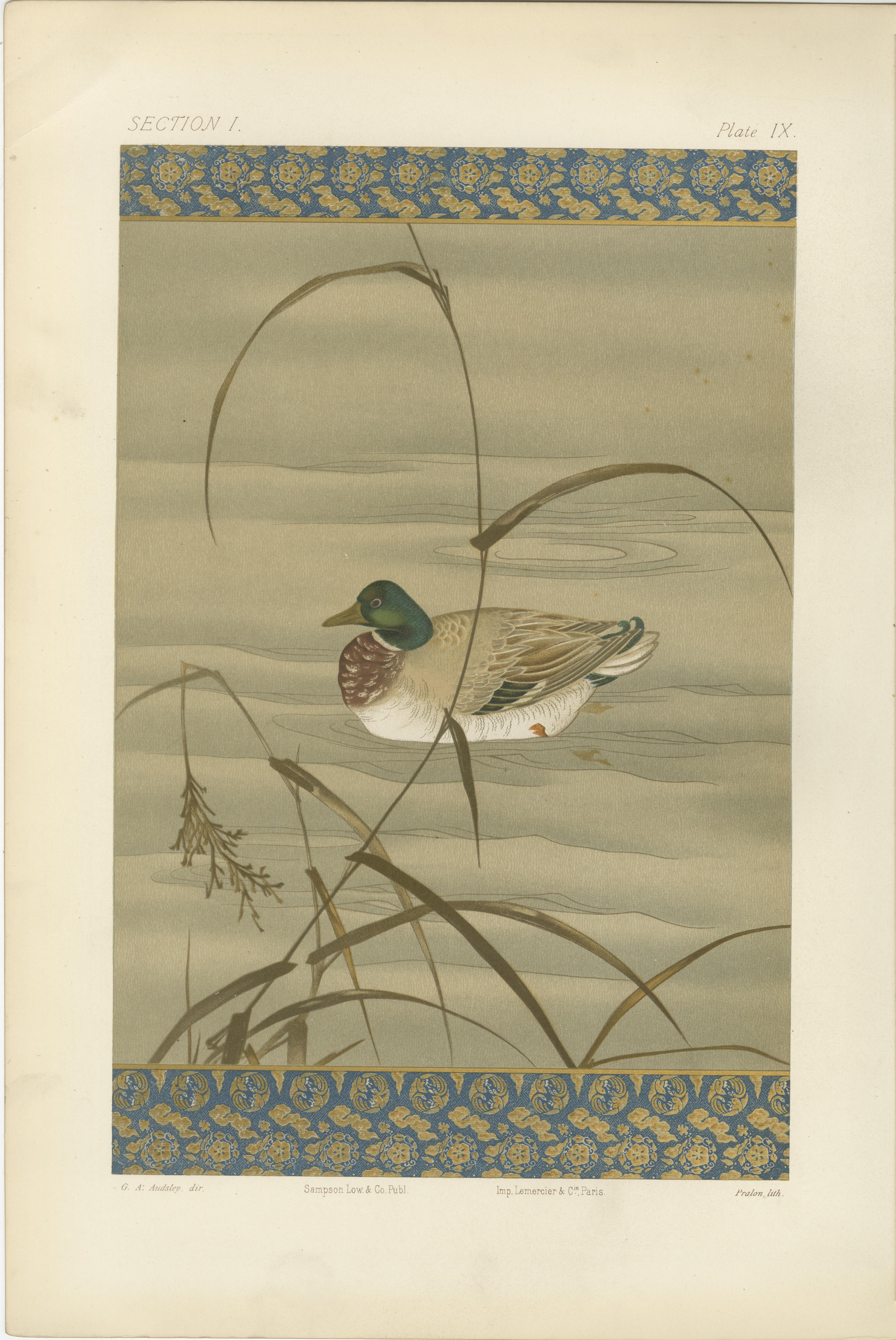 Antique Japanese Waterfowl Print: Tranquil Duck in Reeds, 19th Century For Sale 2