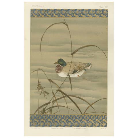 Antique Japanese Waterfowl Print: Tranquil Duck in Reeds, 19th Century