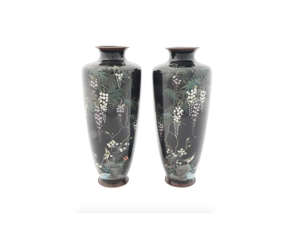 A pair of antique Japanese Meiji Era enamel vases. Circa: Late 19th century .
The baluster form vase is enameled with polychrome images of birds and Wisteria flowering plants made in the Cloisonne technique on a black ground. The borders are