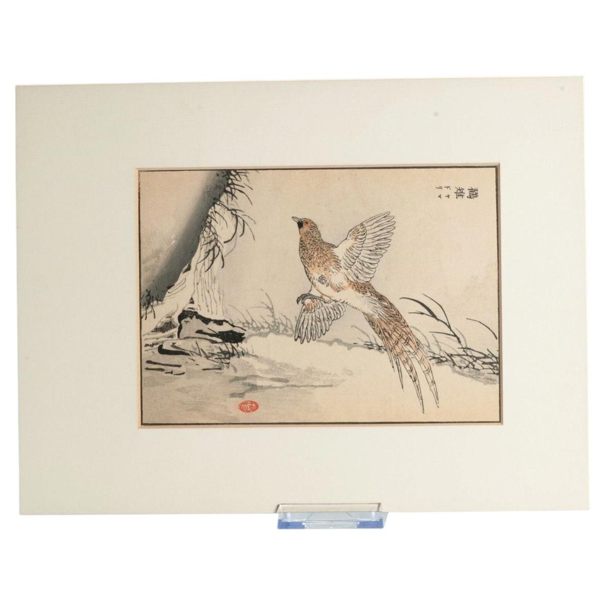 Ancienne gravure sur bois japonaise Kōno Bairei 幸野楳嶺 (1844-1895) 100 oiseaux