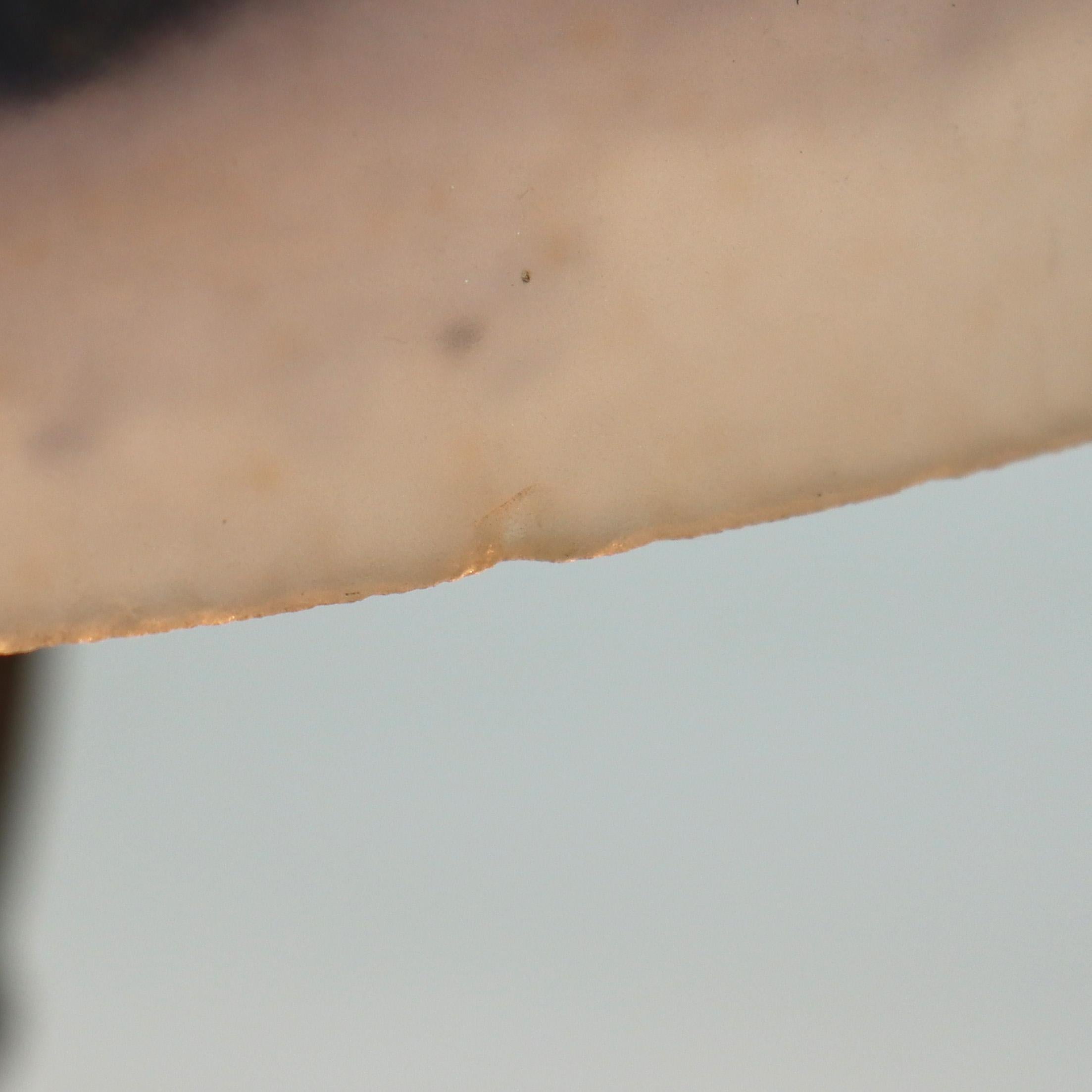 Antique Jefferson Textured Reverse Painted Landscape Table Lamp c1920 en vente 3