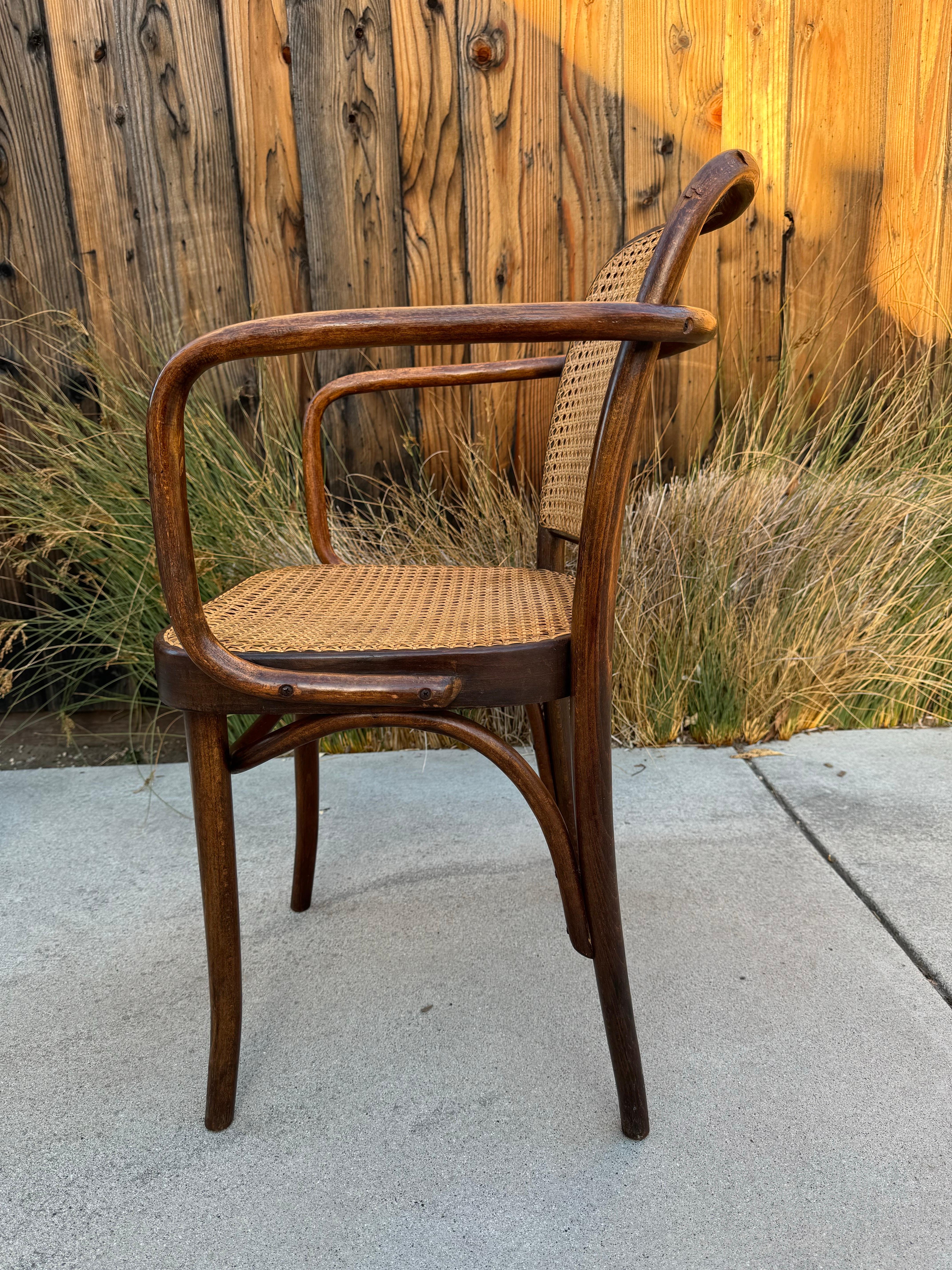Polish Antique Josef Hoffmann Bentwood and Cane Prague Chair, FMG Made In Poland For Sale