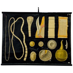Antique Jung Koch Quentell Wall Chart Poster Illustration of the Tapeworm