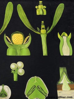 Antique Mural Jung Koch Quentell Wall Chart Mistletoe Christmas Decoration