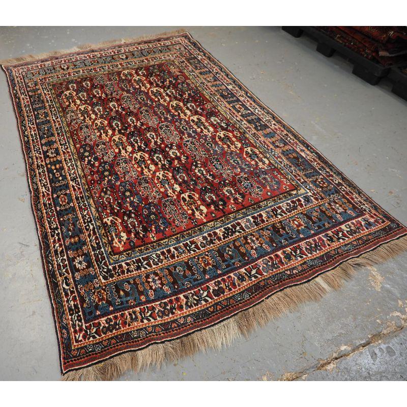Antique Kashkuli Qashqai rug with colourful diagonal boteh design.

An excellent thick heavy rug with a variation of the well known Kashkuli boteh design, the diagonal lines of boteh are in a range of colours on a madder red ground.

The rug is