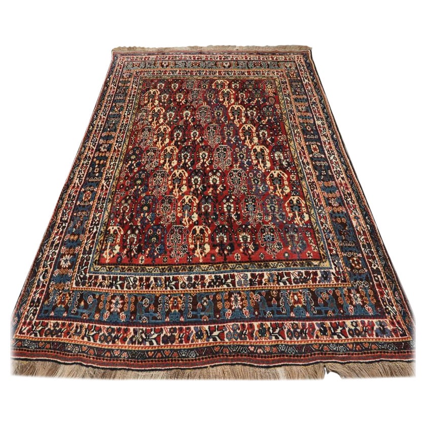 Tappeto antico Kashkuli Qashqai