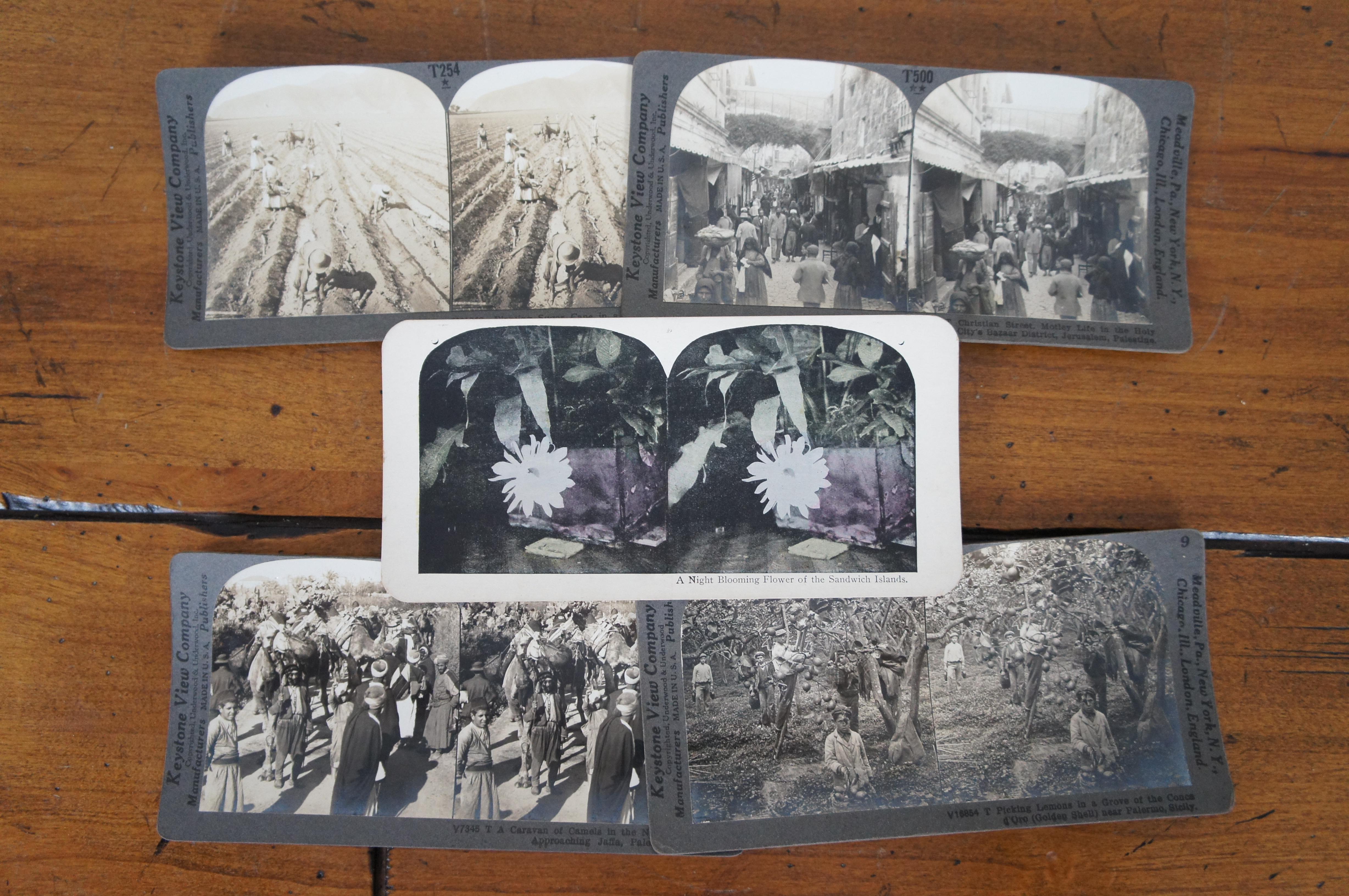 Stéréoscope antique Keystone View Library Book Slides Images World War en vente 1