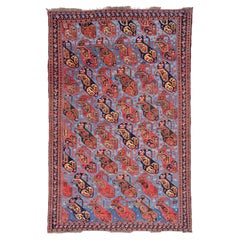 Antique Khamseh Rug - 19th Century Antique Khamseh Rug, Vintage Rug, Antique Rug