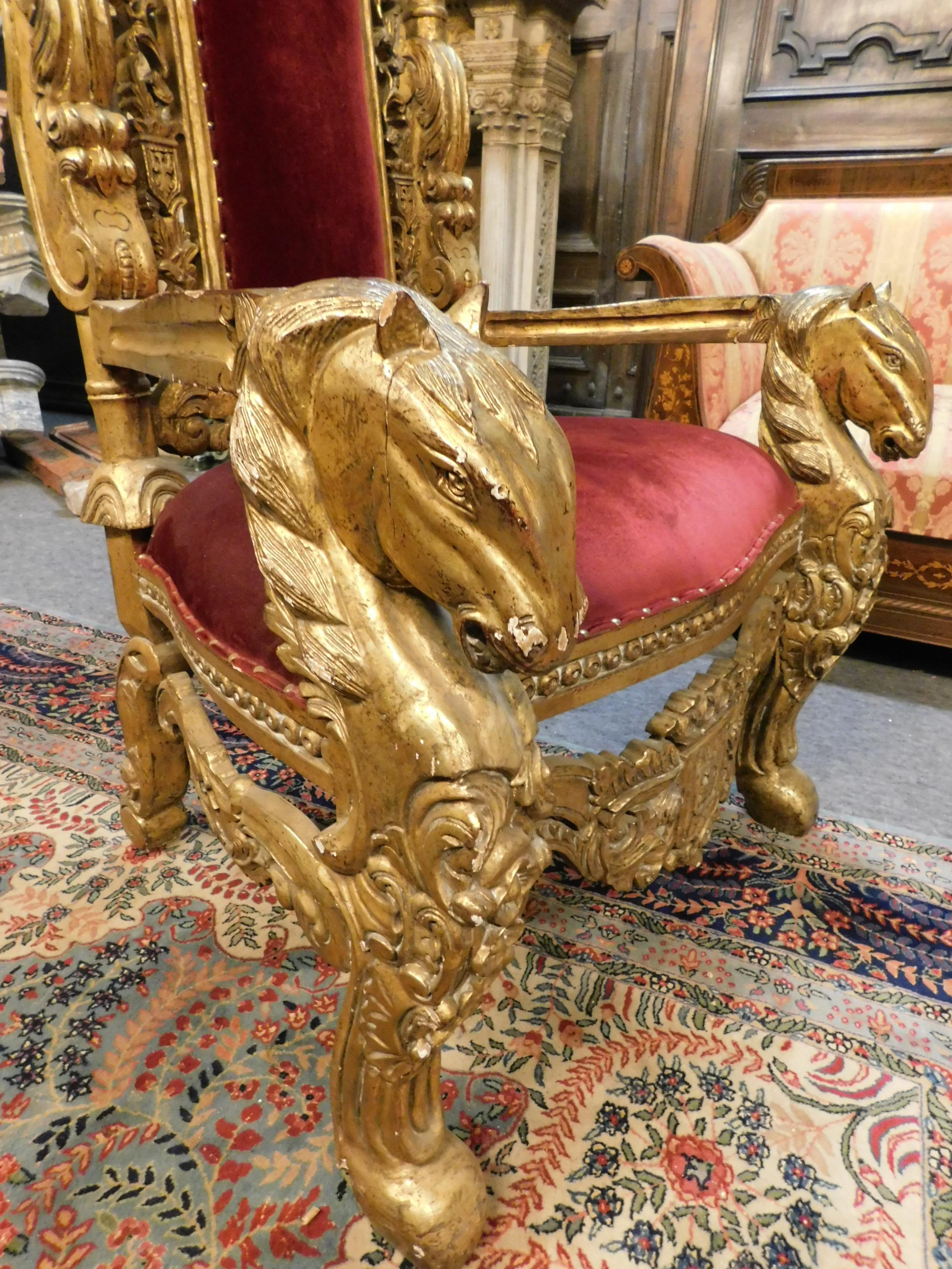 Late 19th Century Antique King's Throne, Armchair, Gilded with Perfect Red Cloth 'Velluto', 1800