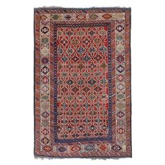 Antique Kuba Shirvan Rug - Mid 19th century