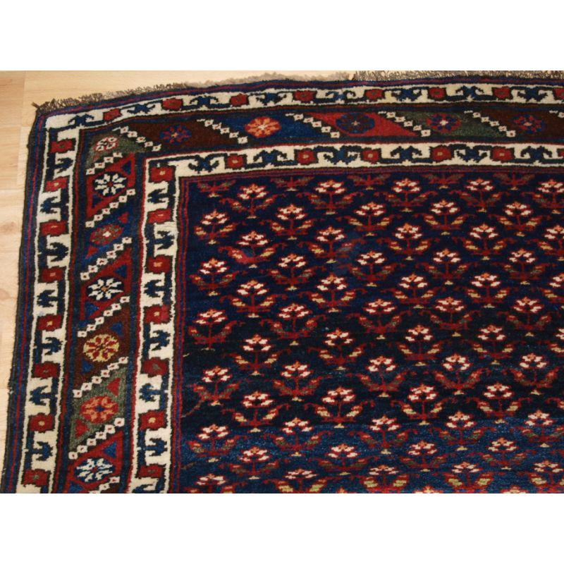 Antiker kurdischer Langteppich mit feinem Strauchmuster.

Ein wunderschön gezeichneter Teppich mit exzellenter Farbe, das feine Strauchmuster ist in Form eines Gitters auf einem tief indigoblauen Feld. Die Bordüre rahmt den Teppich gut ein und