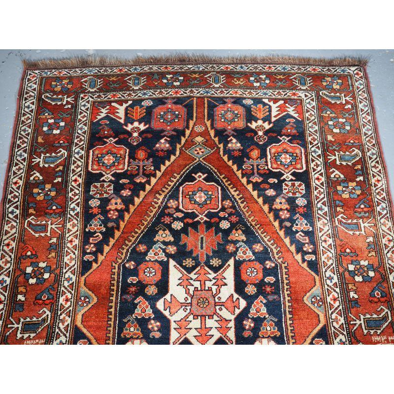 Antique Kurdish long with elongated single medallion design.

A charming old rug with a very gentle feel, the colours have a very harmonious earthy feel.... a real country house rug. The elongated medallion is most unusual with a white star to the