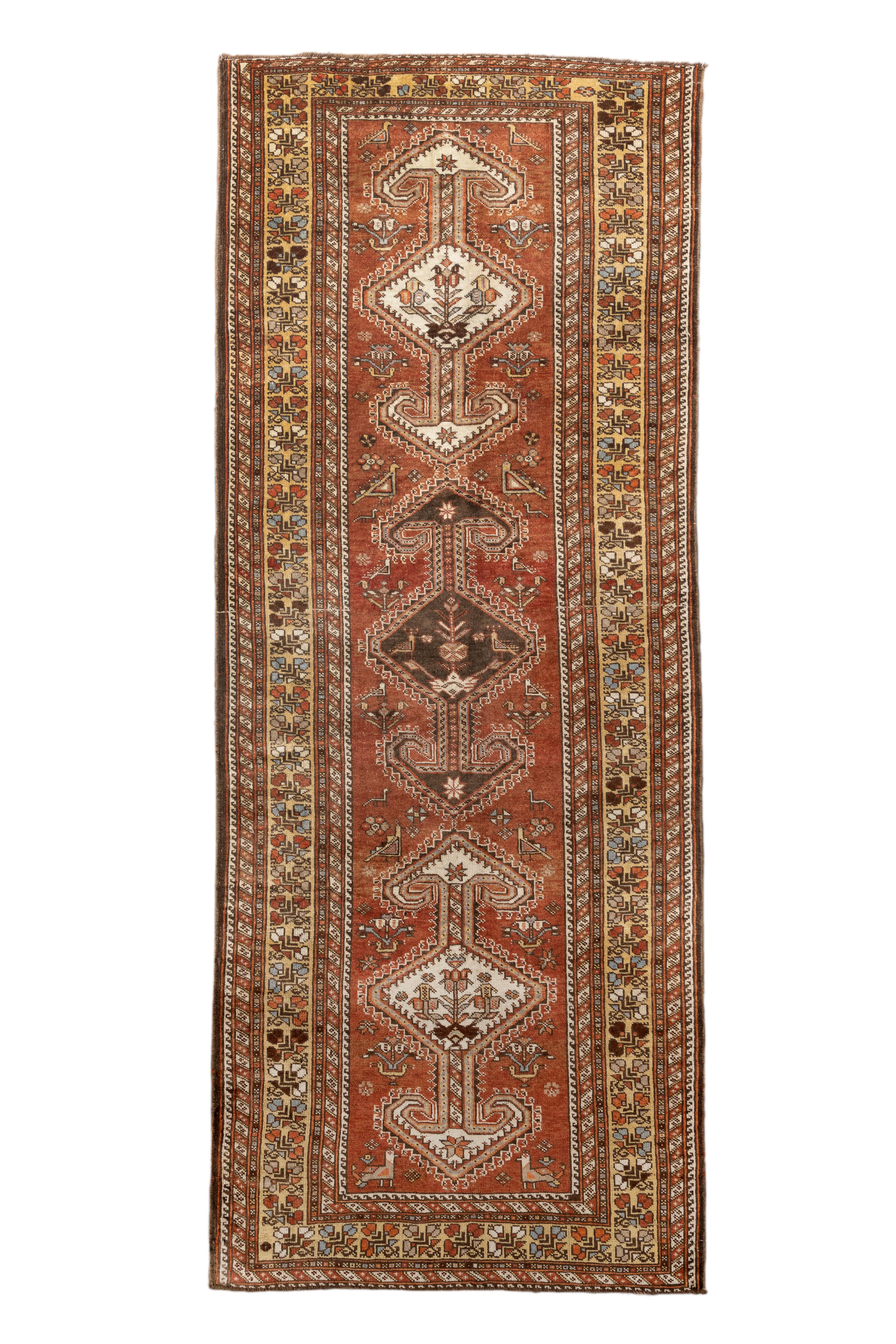 Questo splendido runner curdo antico presenta un'audace composizione lineare con una serie di medaglioni a diamante impilati nei toni dell'avorio, del castagno e del marrone scuro su un campo di terracotta saturo. I motivi finemente dettagliati sono