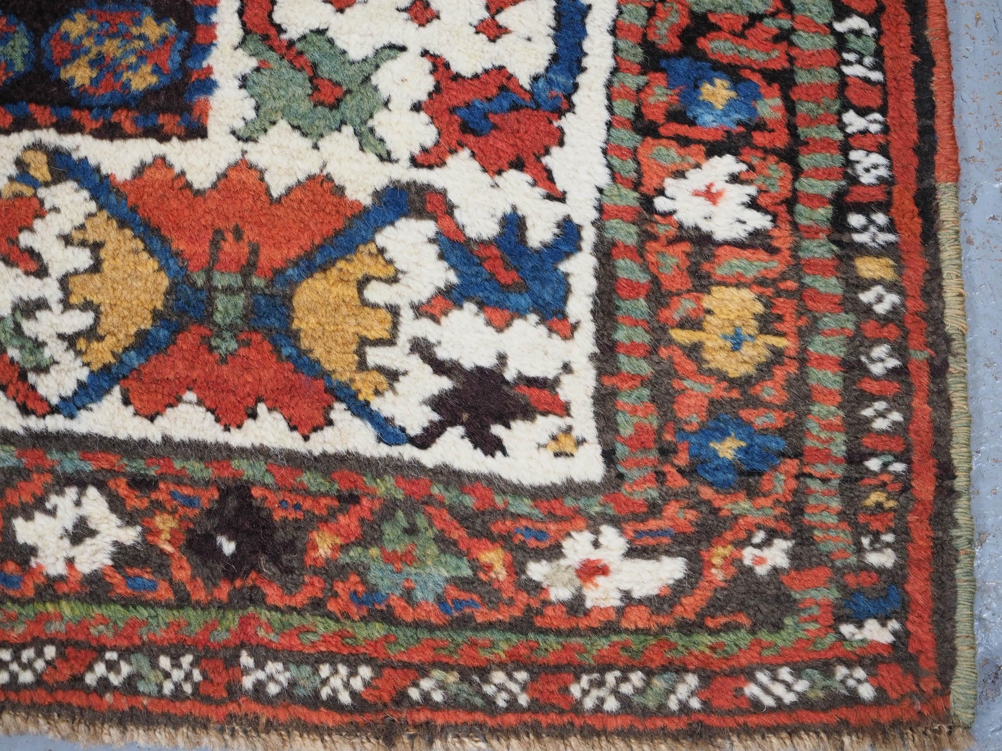 Antique Kurdish rug with colourful shrub design.  Circa 1900 For Sale 7