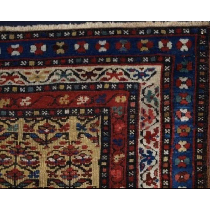 Antique Kurdish rug with shrub design on a yellow field.

A beautiful small rug with really outstanding colours.

Well drawn shrub design.

Very nice border.

Good condition with even wear.

Hand washed and ready for use or