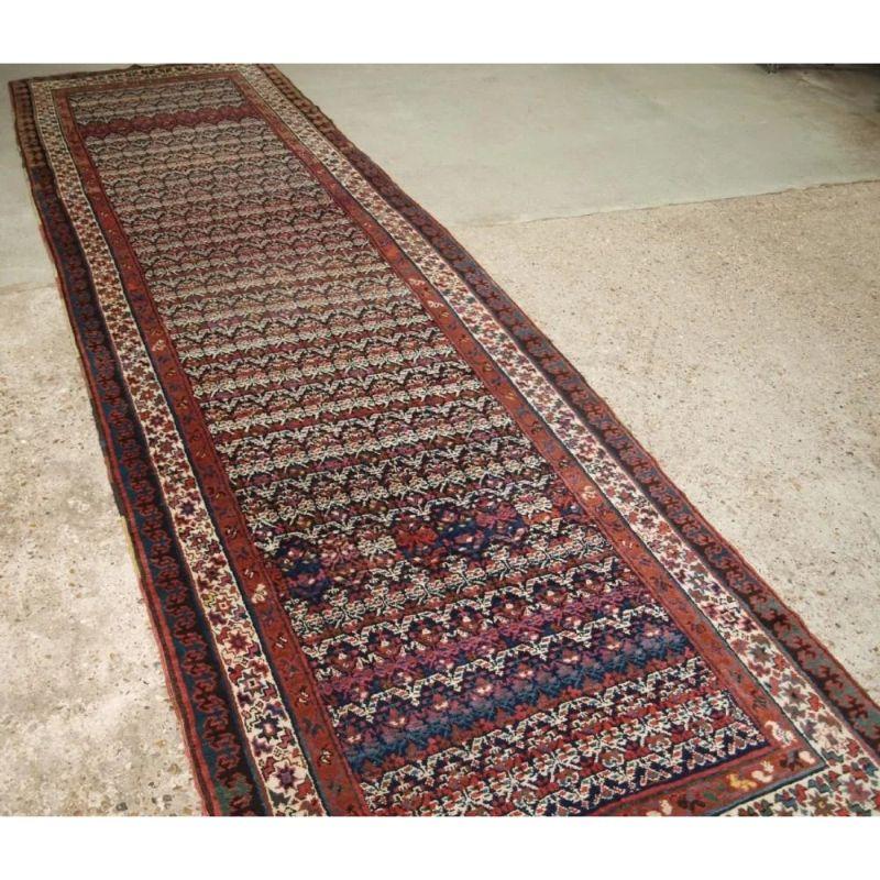 A very good quality runner, or corridor carpet, with excellent colour. The rug is very well drawn with an all over repeat design of shrubs. The ground colour is dark indigo blue, but the use of pastel colours for the shrub design gives the runner a