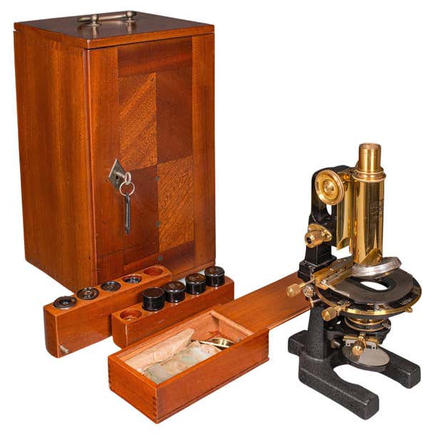 German Lab Instruments Antique Laboratory Microscope, German, Scientific Instrument, Carl ...