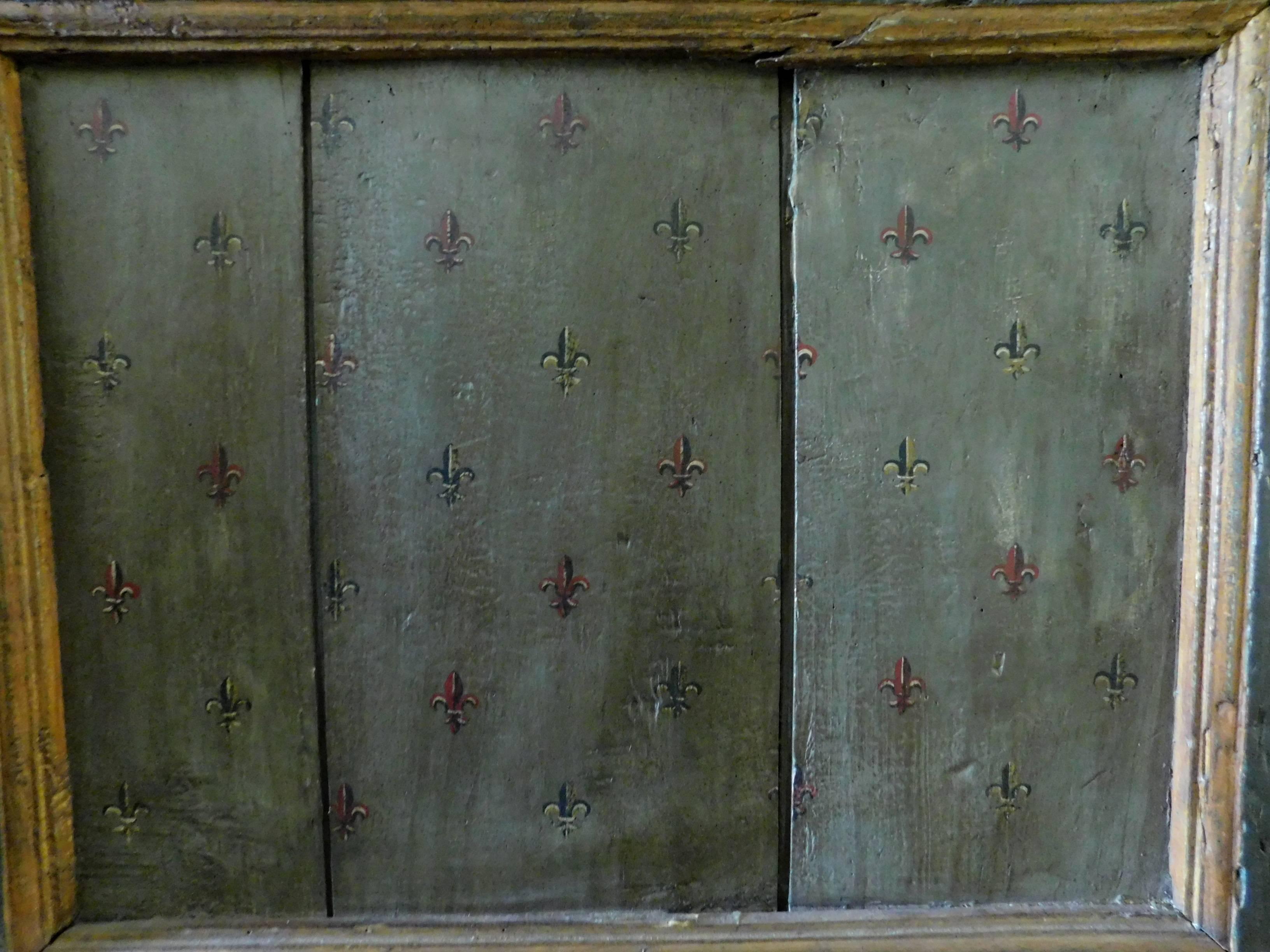 Antique Lacquered Door In Good Condition In Cuneo, Italy (CN)