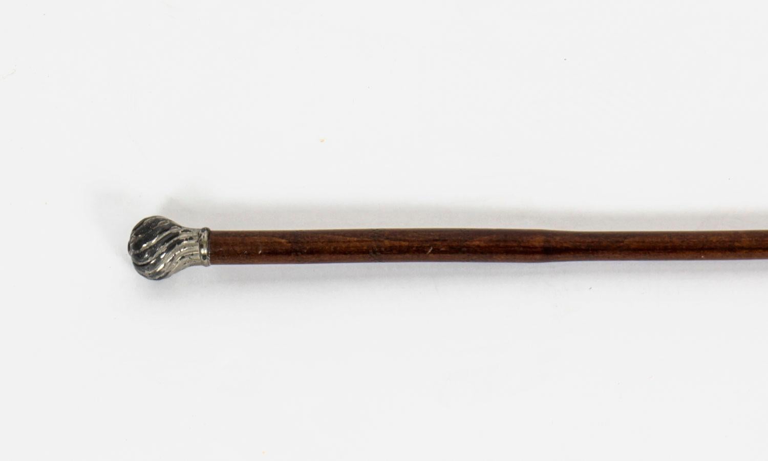 Antique Ladies Silver Plated Malacca Walking Stick Cane, 19th Century 2