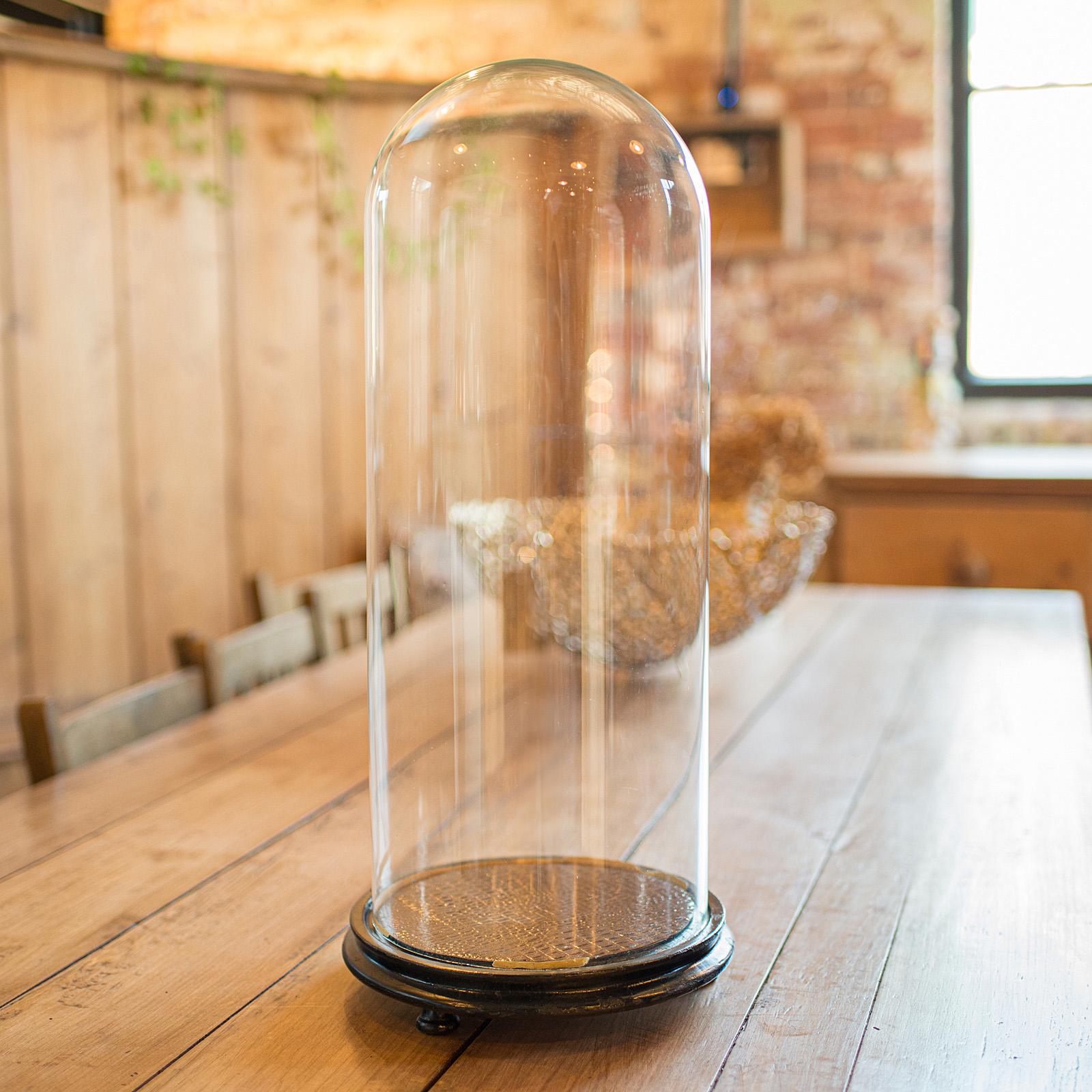 British Antique Large Display Dome, English, Taxidermy, Specimen Showcase, Victorian For Sale