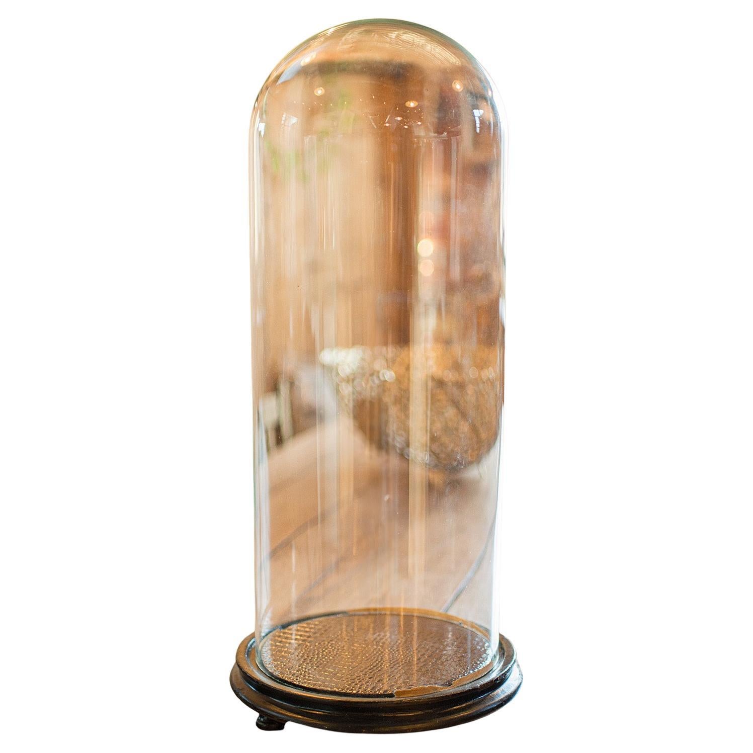Antique Large Display Dome, English, Taxidermy, Specimen Showcase, Victorian