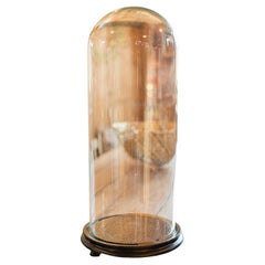 Antique Large Display Dome, English, Taxidermy, Specimen Showcase, Victorian