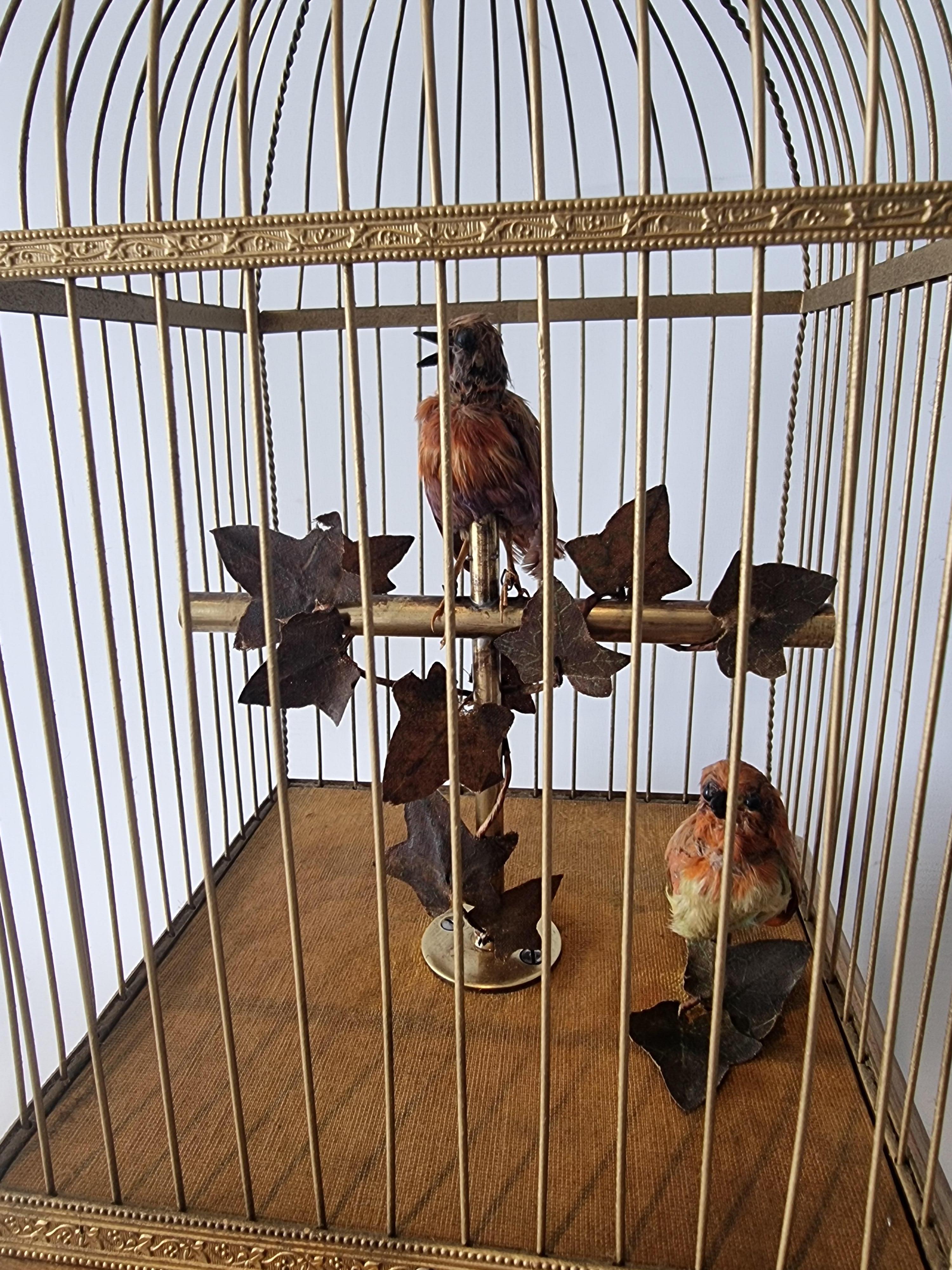 Doublez le plaisir...

Lorsqu'il est enroulé et que le levier d'actionnement est placé en position continue, le couple d'oiseaux perchés entièrement taxidermisés chante à tour de rôle les phrases continues, en ouvrant et en fermant leur bec naturel,