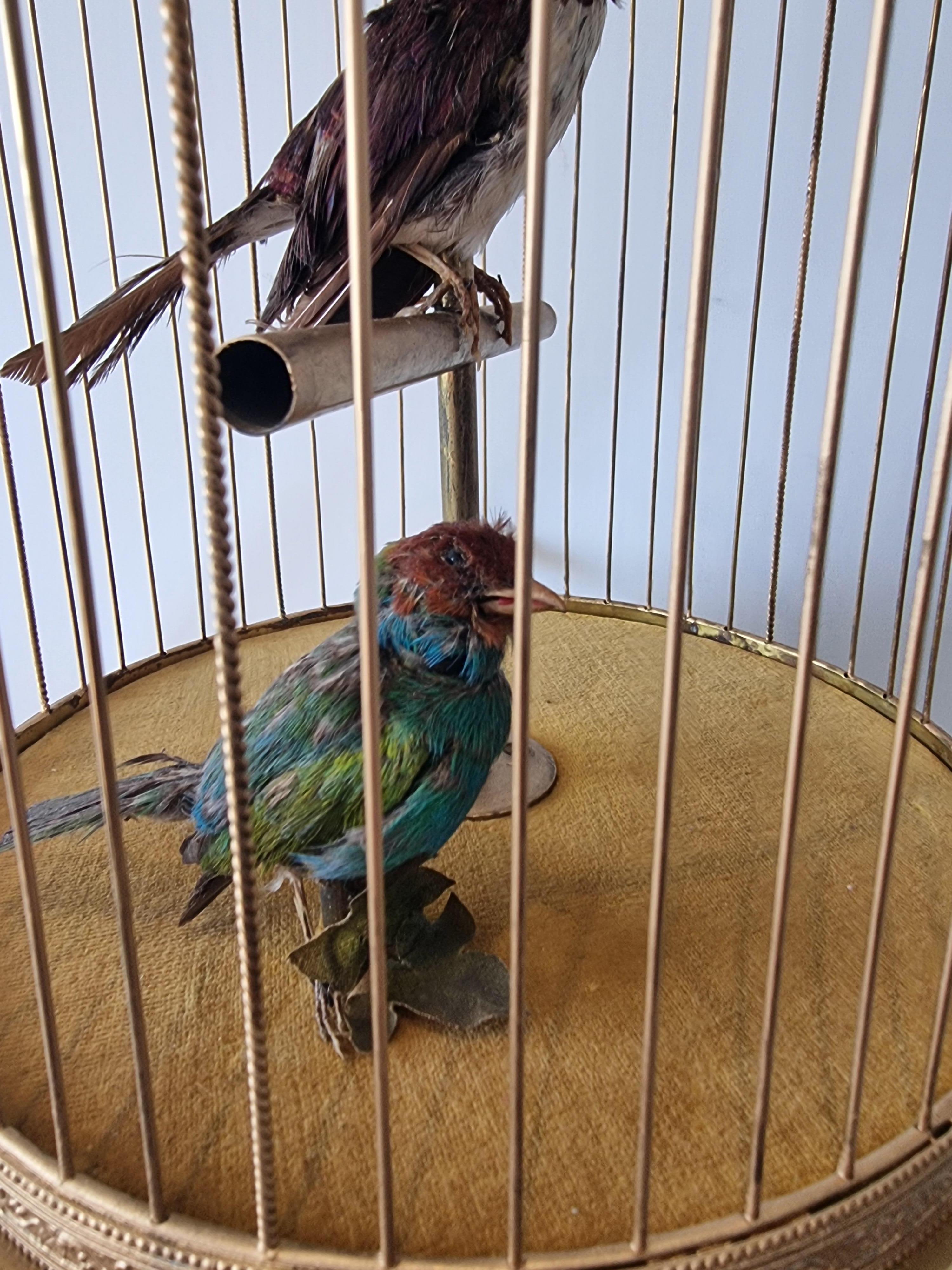 towa towa bird cage for sale