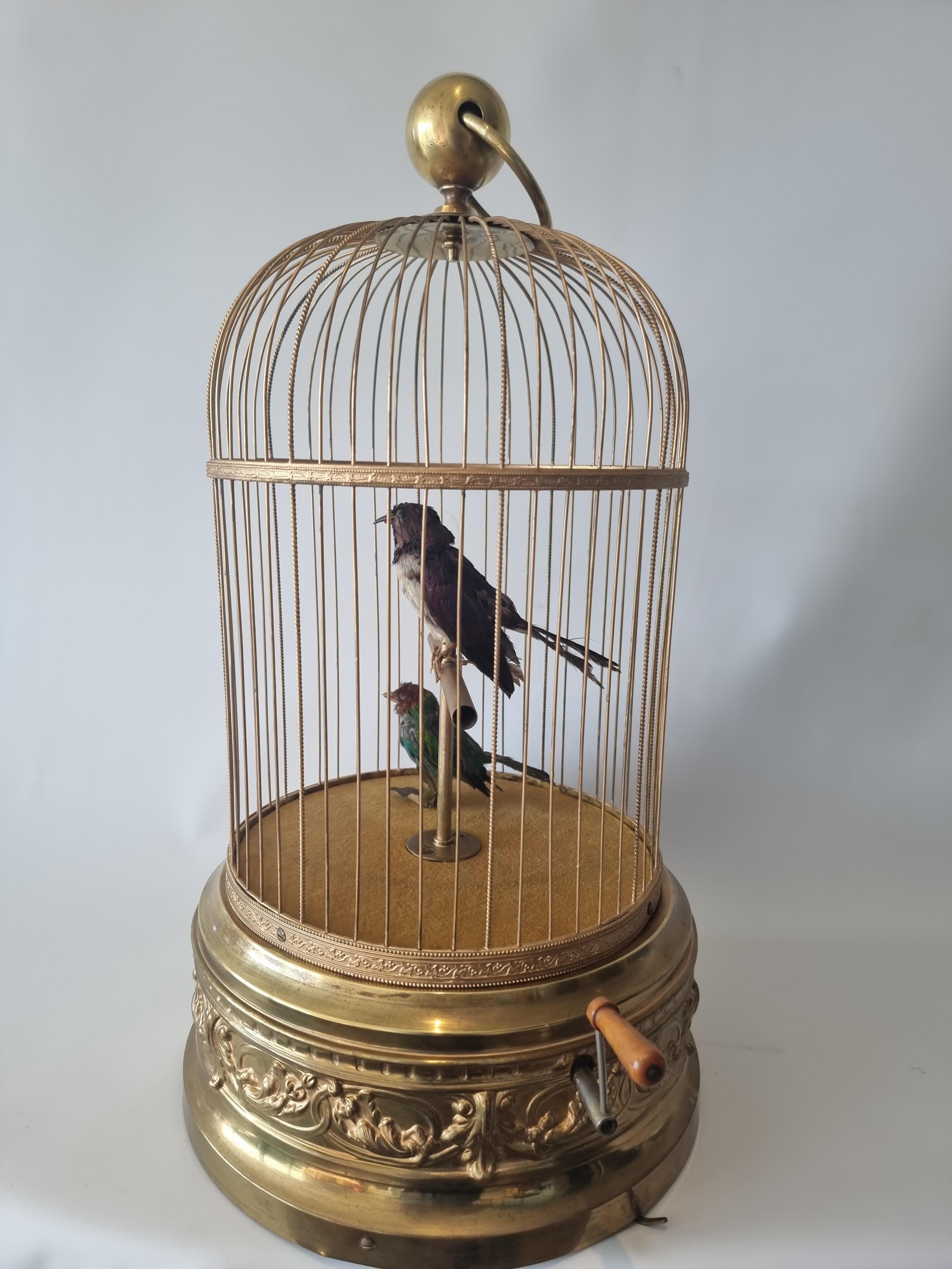 Fin du XIXe siècle Grand oiseau chantant ancien en cage, par Bontems