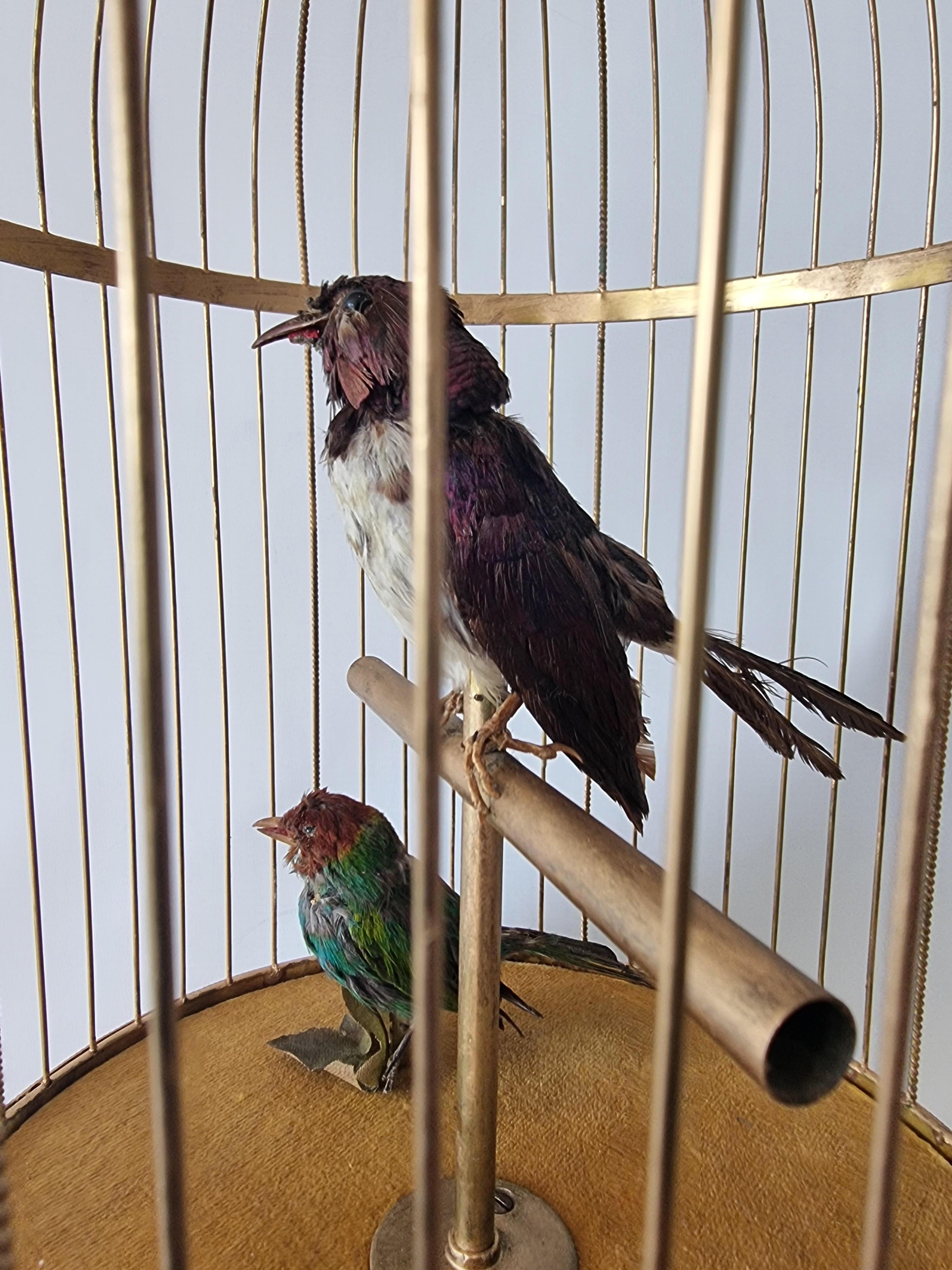 Laiton Grand oiseau chantant ancien en cage, par Bontems