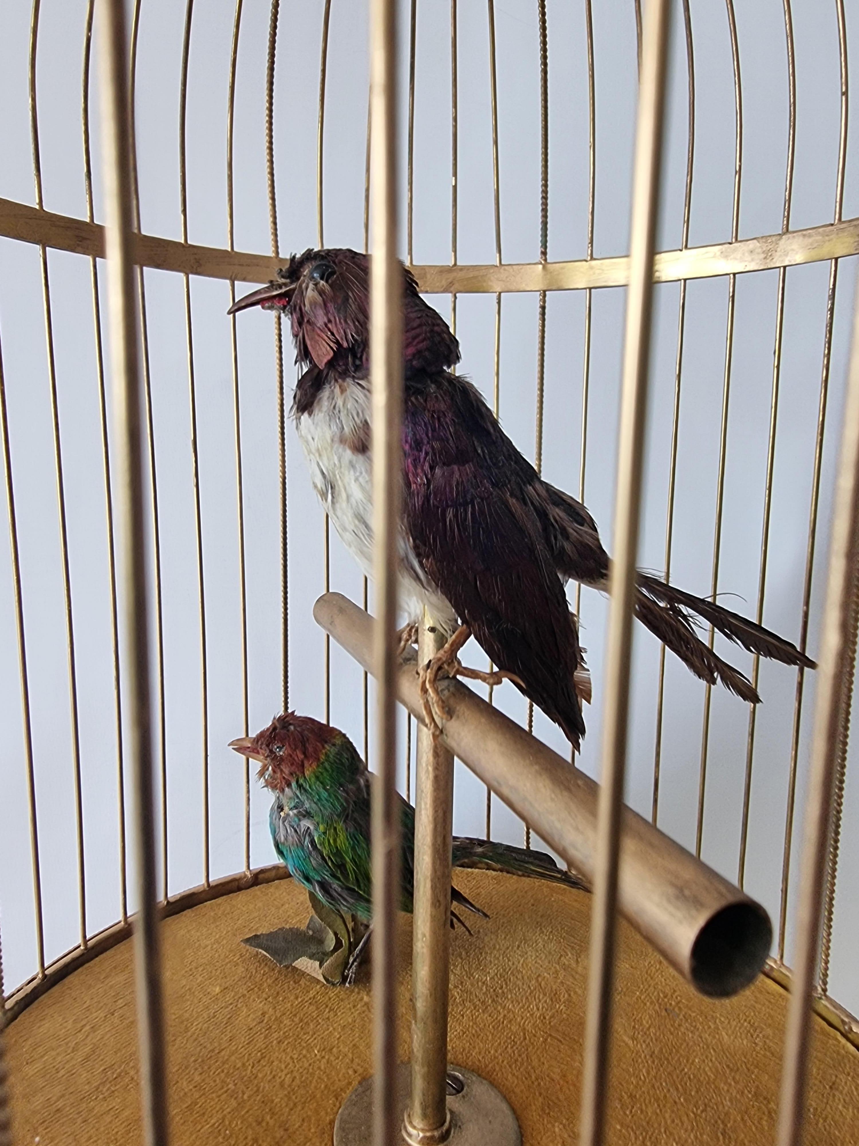 Antiker großer doppelseitiger singender Vogel im Käfig, von Bontems (Französisch)