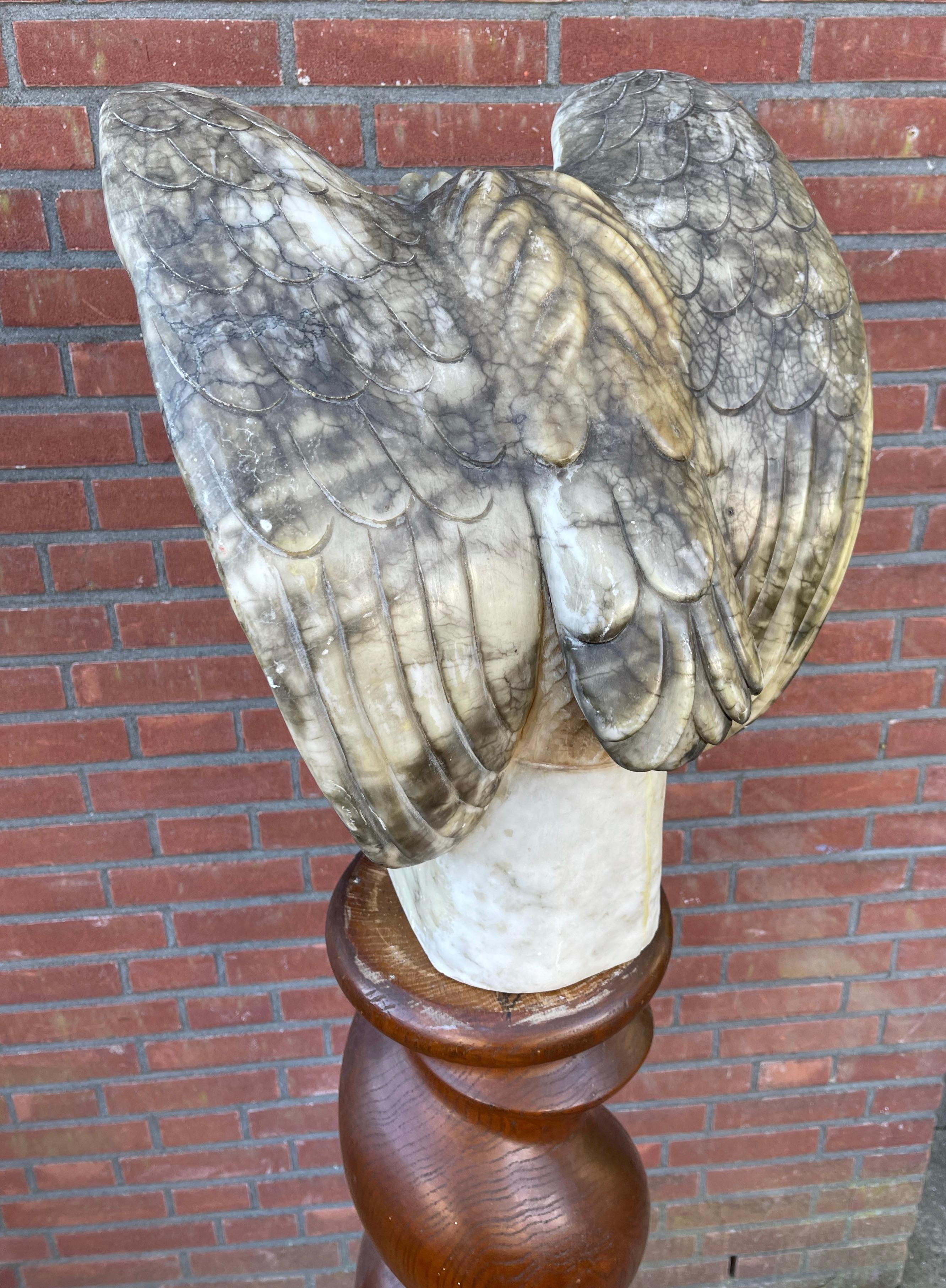 Antique Large & Impressive Alabaster Harpy Eagle Sculpture with Spreads Wings For Sale 8