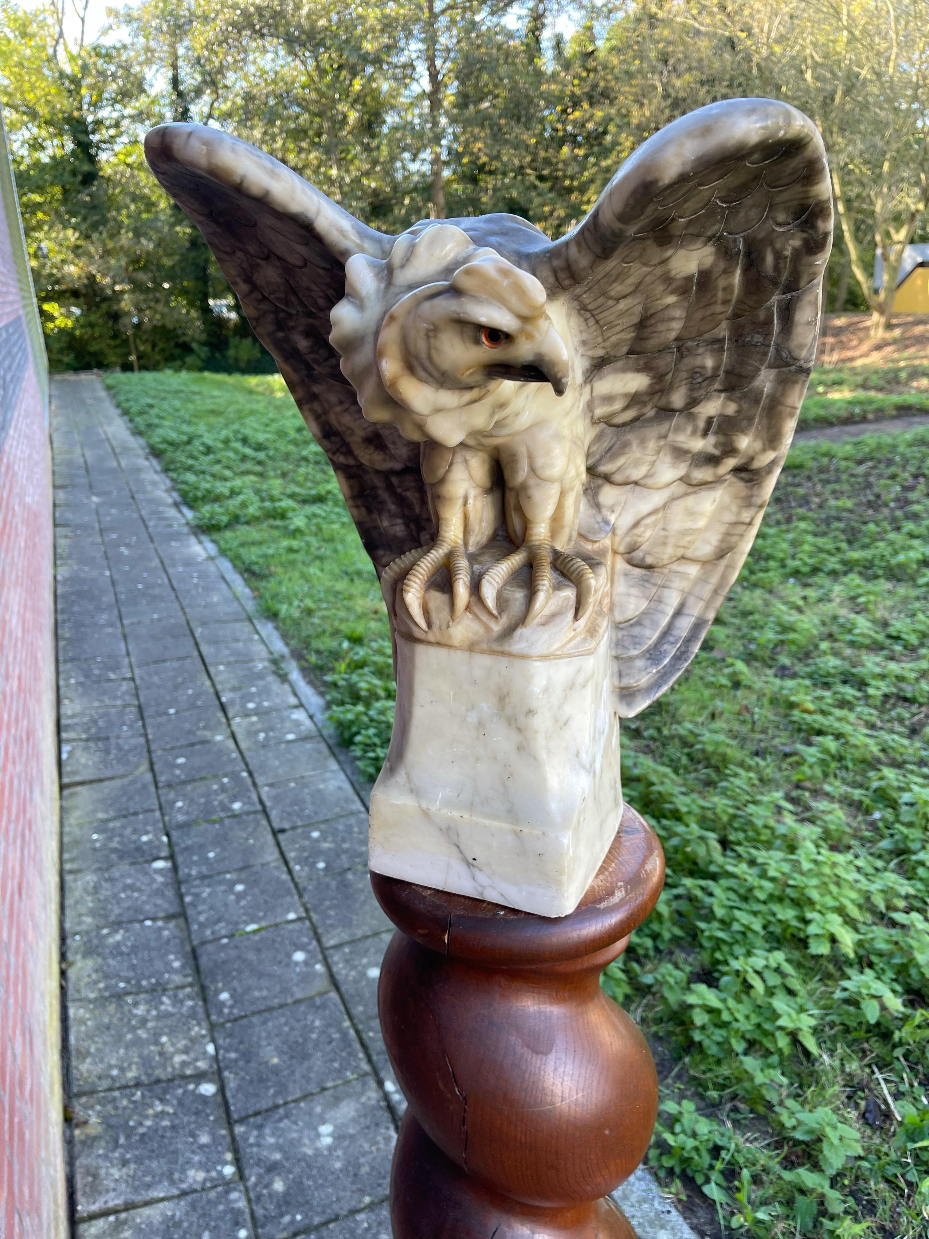 harpy eagle statue