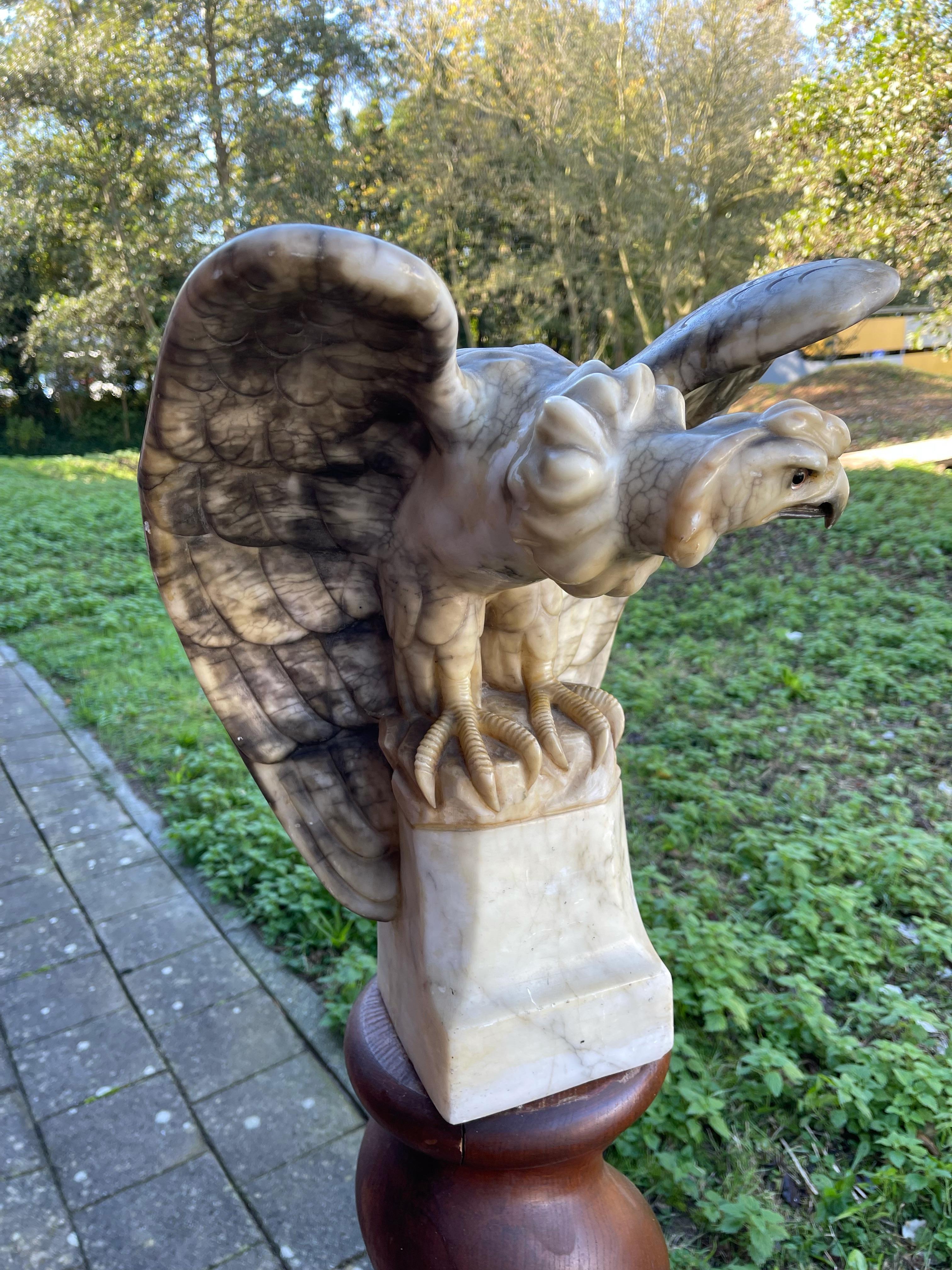 Antike, große und beeindruckende Alabaster-Schildkrötenadler-Skulptur mit ausgebreiteten Flügeln (Europäisch) im Angebot