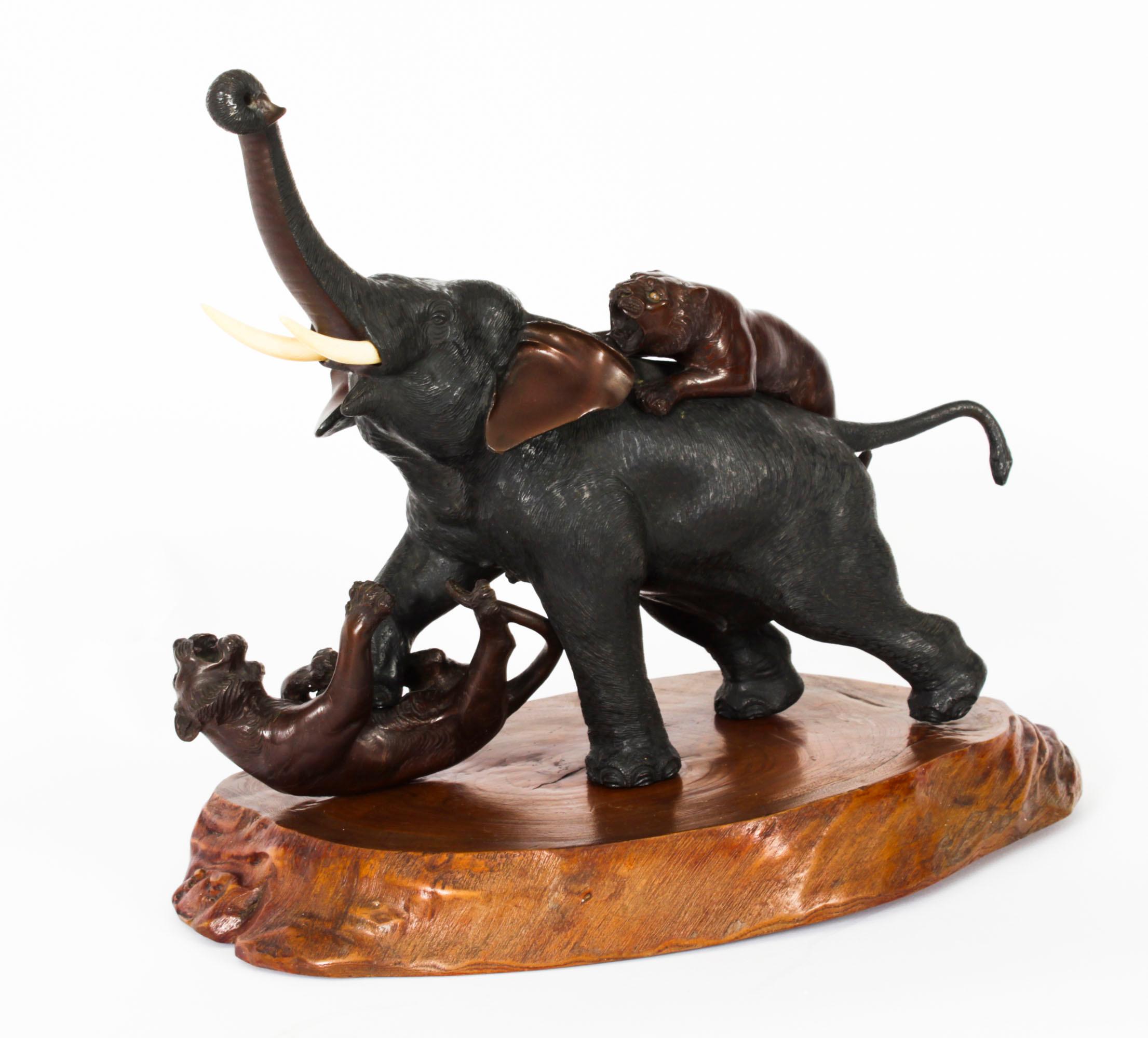Un bellissimo studio in bronzo patinato del periodo Meiji di grandi dimensioni raffigurante un elefante con tigri,  firmata sulla pancia, periodo Meiji, 1868-1912, e data della fine del XIX secolo.

La scultura finemente fusa mostra un elefante che