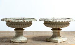 Antique Large Pair of 19th Century English Cast Iron Tazza Urns