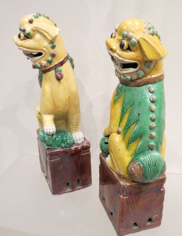 20th Century Antique Large Pair of Porcelain Polychrome Foo Dogs, Chinese, circa 1900 For Sale