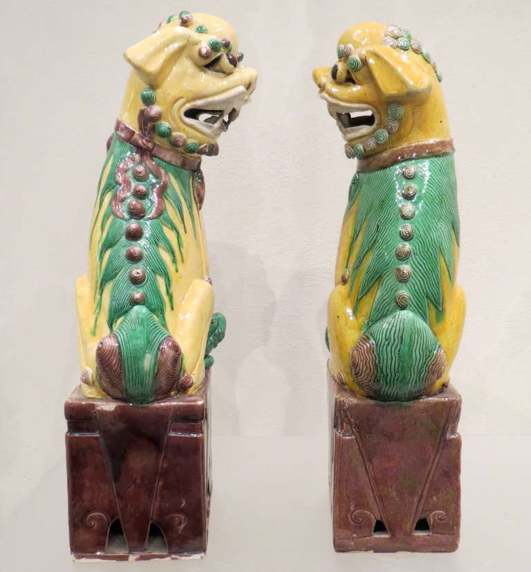 Antique Large Pair of Porcelain Polychrome Foo Dogs, Chinese, circa 1900 For Sale 3