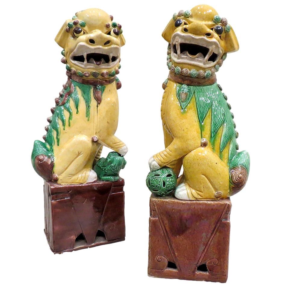 Antique Large Pair of Porcelain Polychrome Foo Dogs, Chinese, circa 1900 For Sale