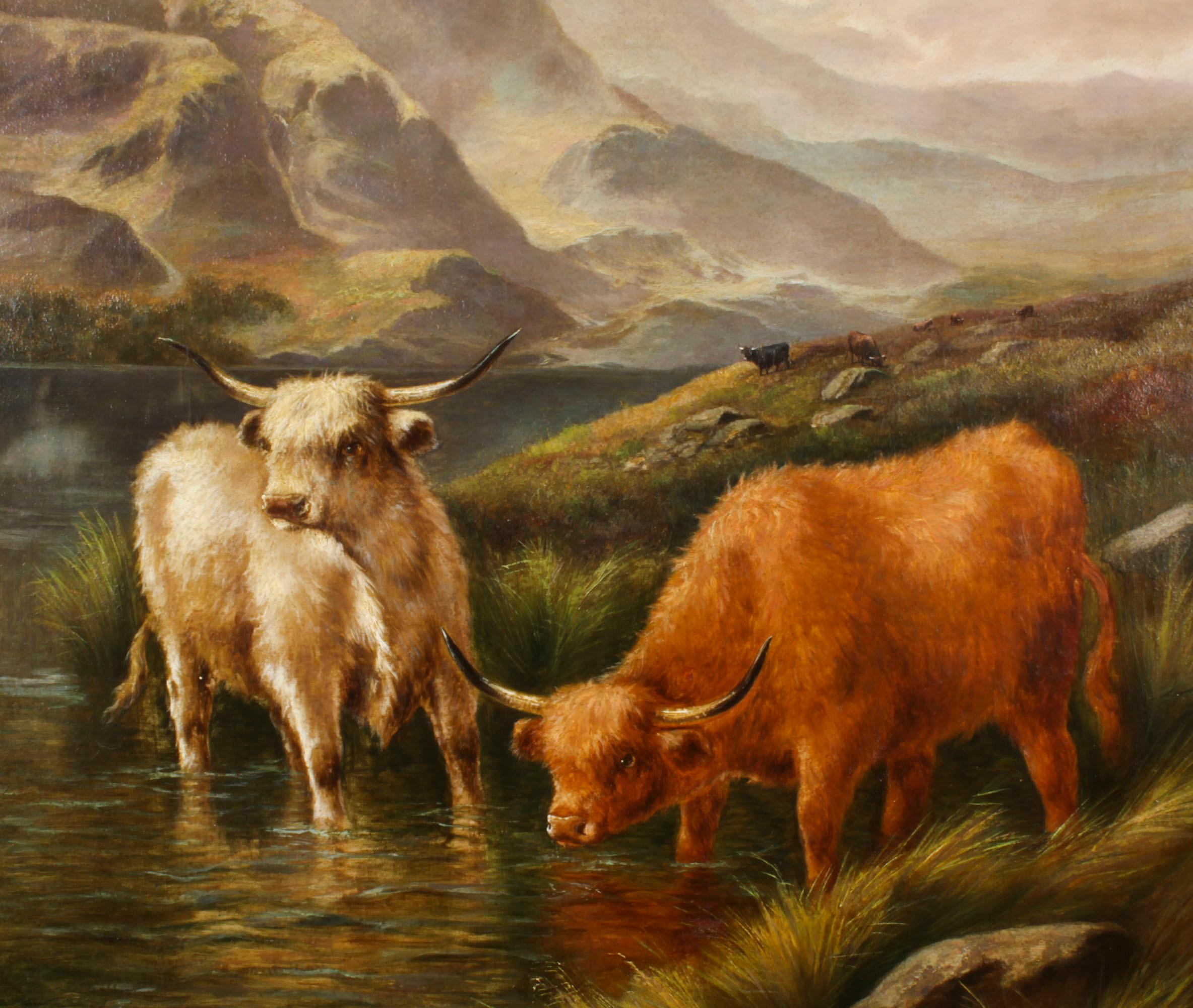 Canvas Antique Large Pair Scottish Highland Cattle Oil Paintings 3ft5 x 4ft2 For Sale