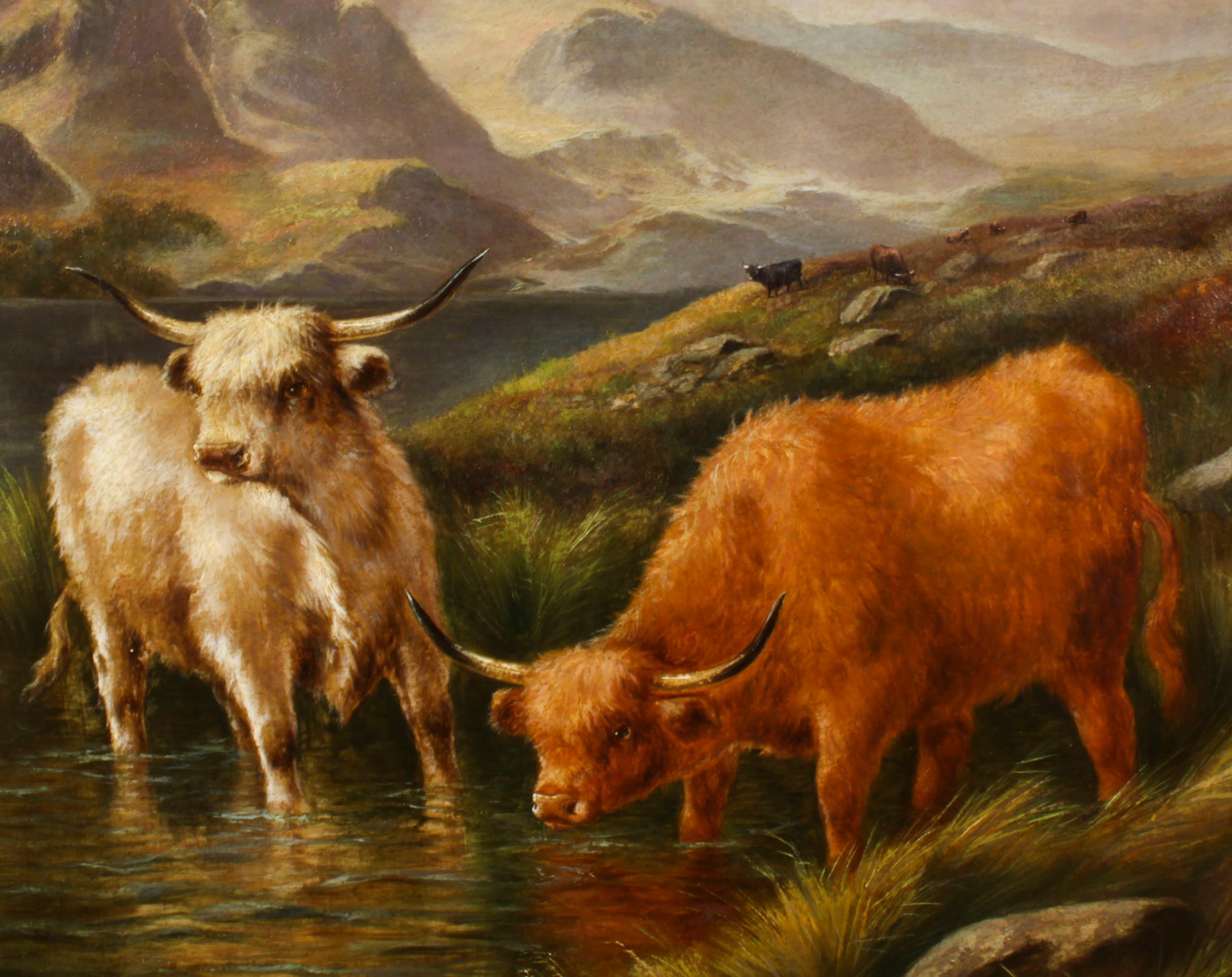 Antique Large Pair Scottish Highland Cattle Oil Paintings 3ft5 x 4ft2 For Sale 1