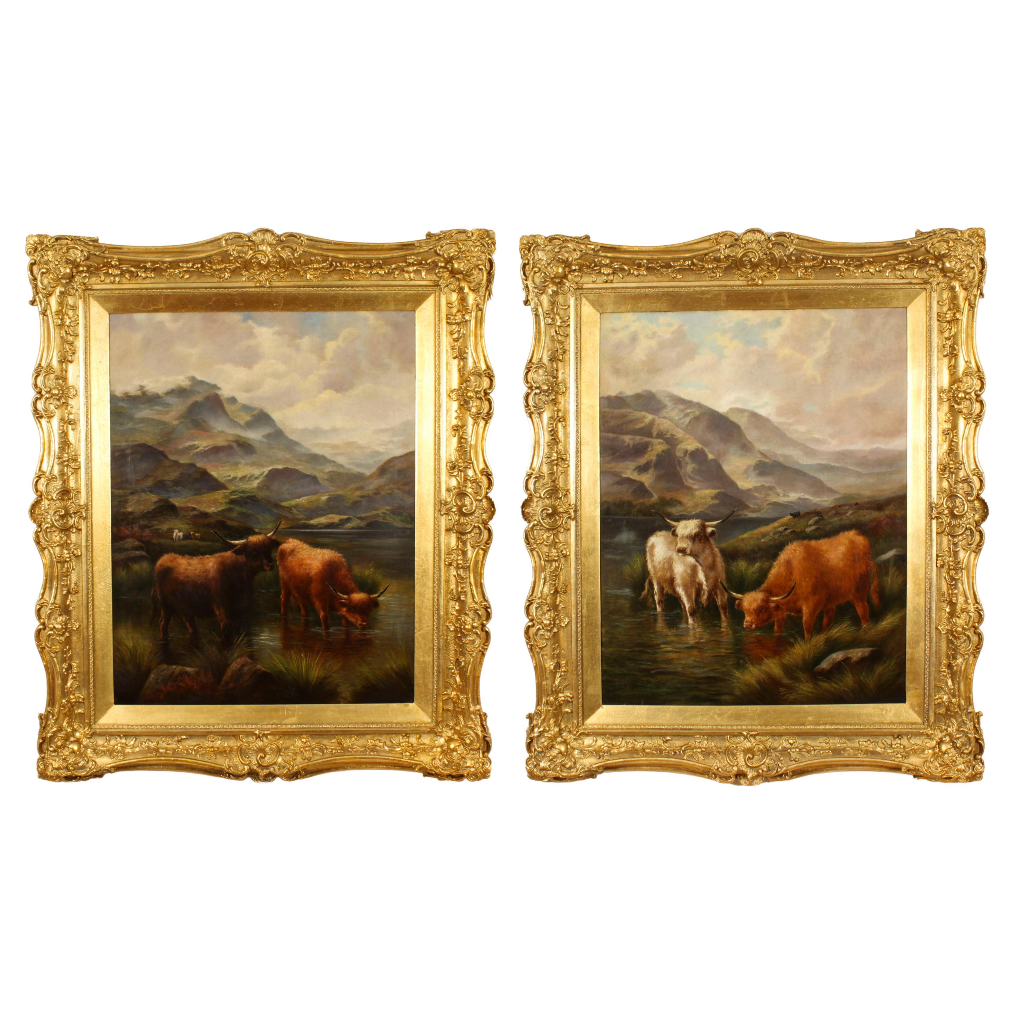 Antique Large Pair Scottish Highland Cattle Oil Paintings 3ft5 x 4ft2 For Sale