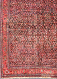 Antique Large Persian Bidjar Rug with All-Over Design in Red and Blue