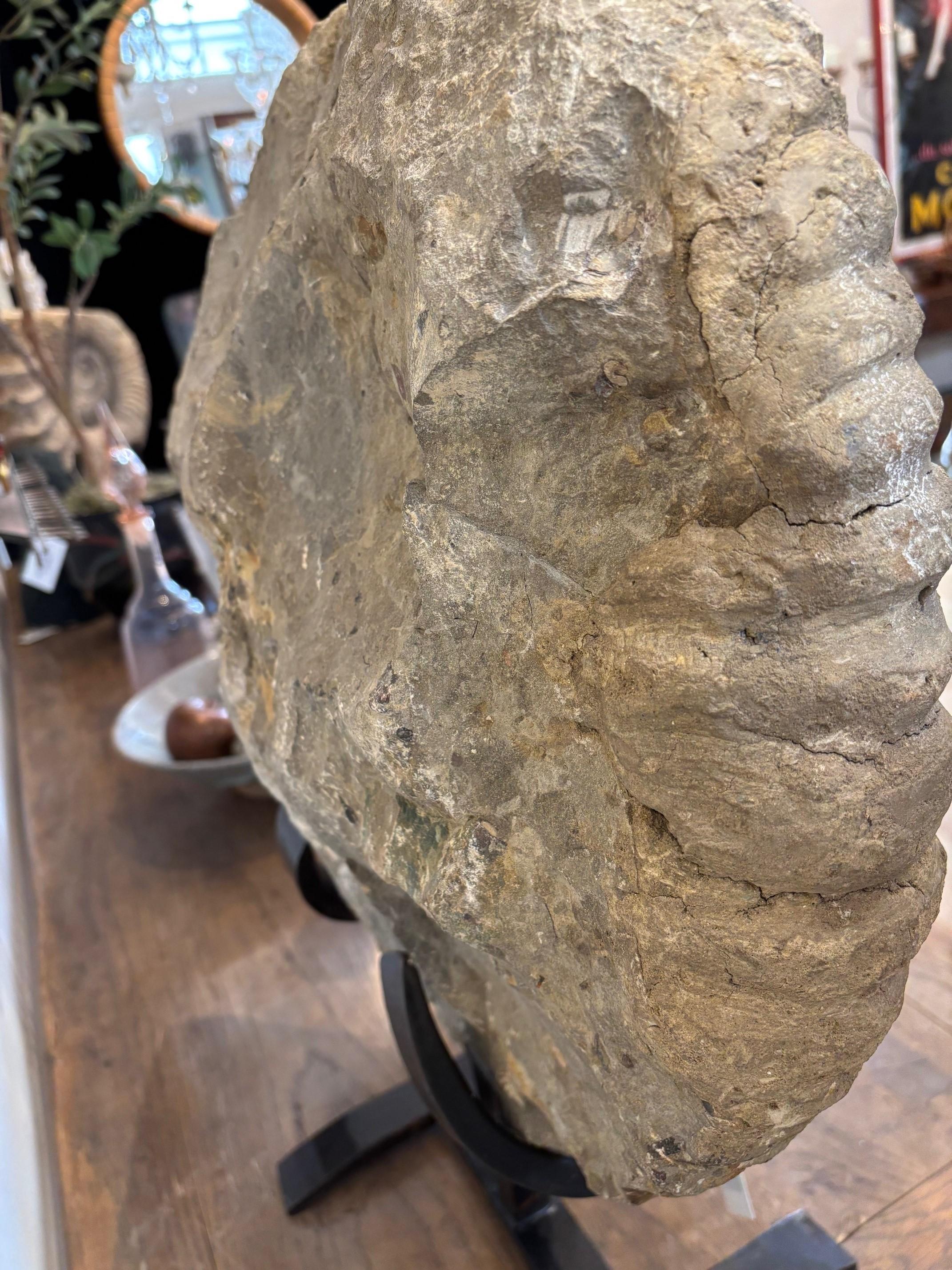 Américain Antique Large Solid Stone Ammonite on Handcrafted Iron Stand en vente