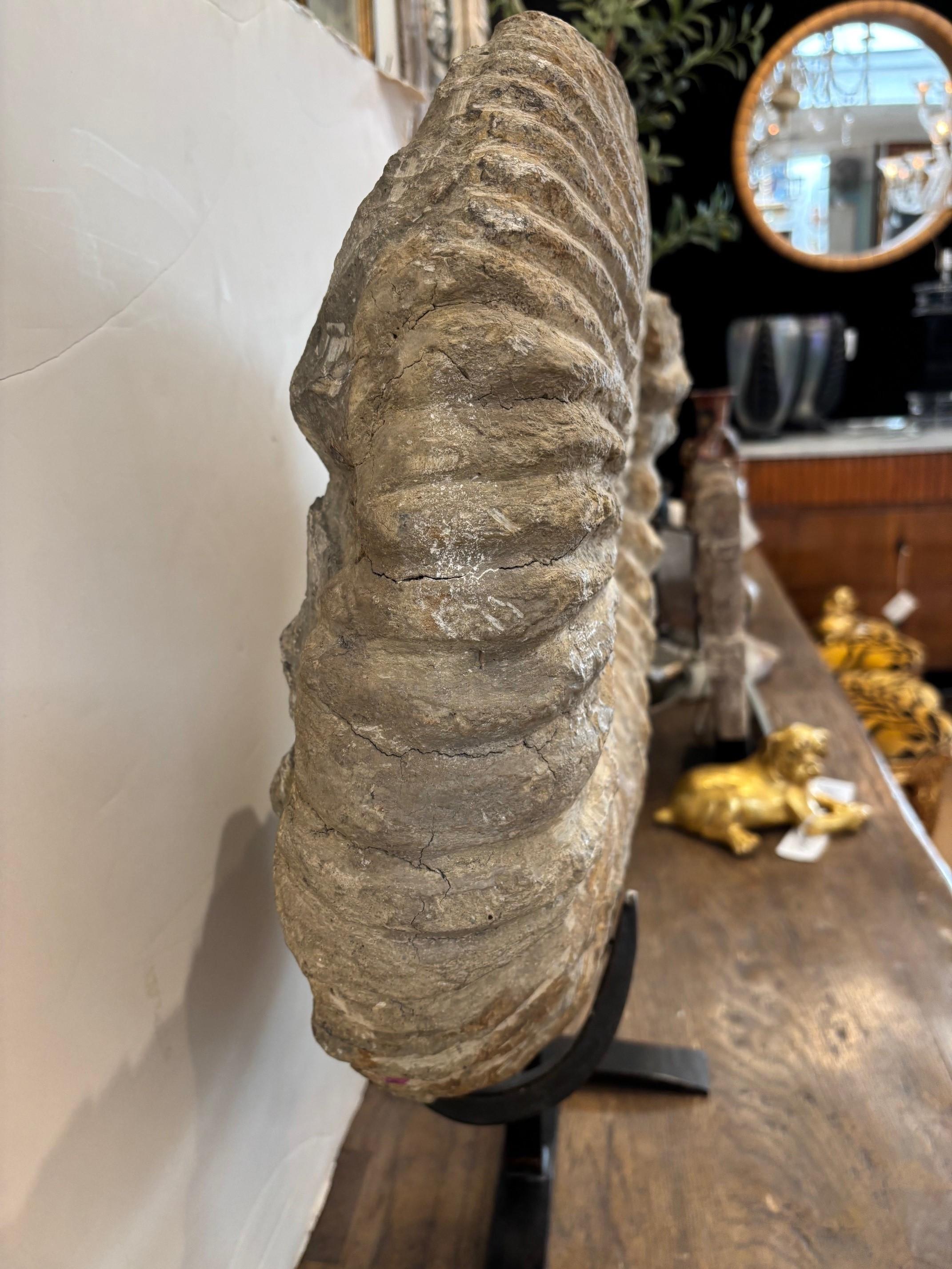 Sculpté Antique Large Solid Stone Ammonite on Handcrafted Iron Stand en vente