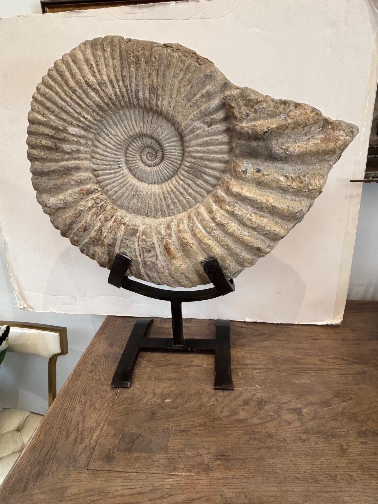 Antique Large Solid Stone Ammonite on Handcrafted Iron Stand Bon état - En vente à Los Angeles, CA