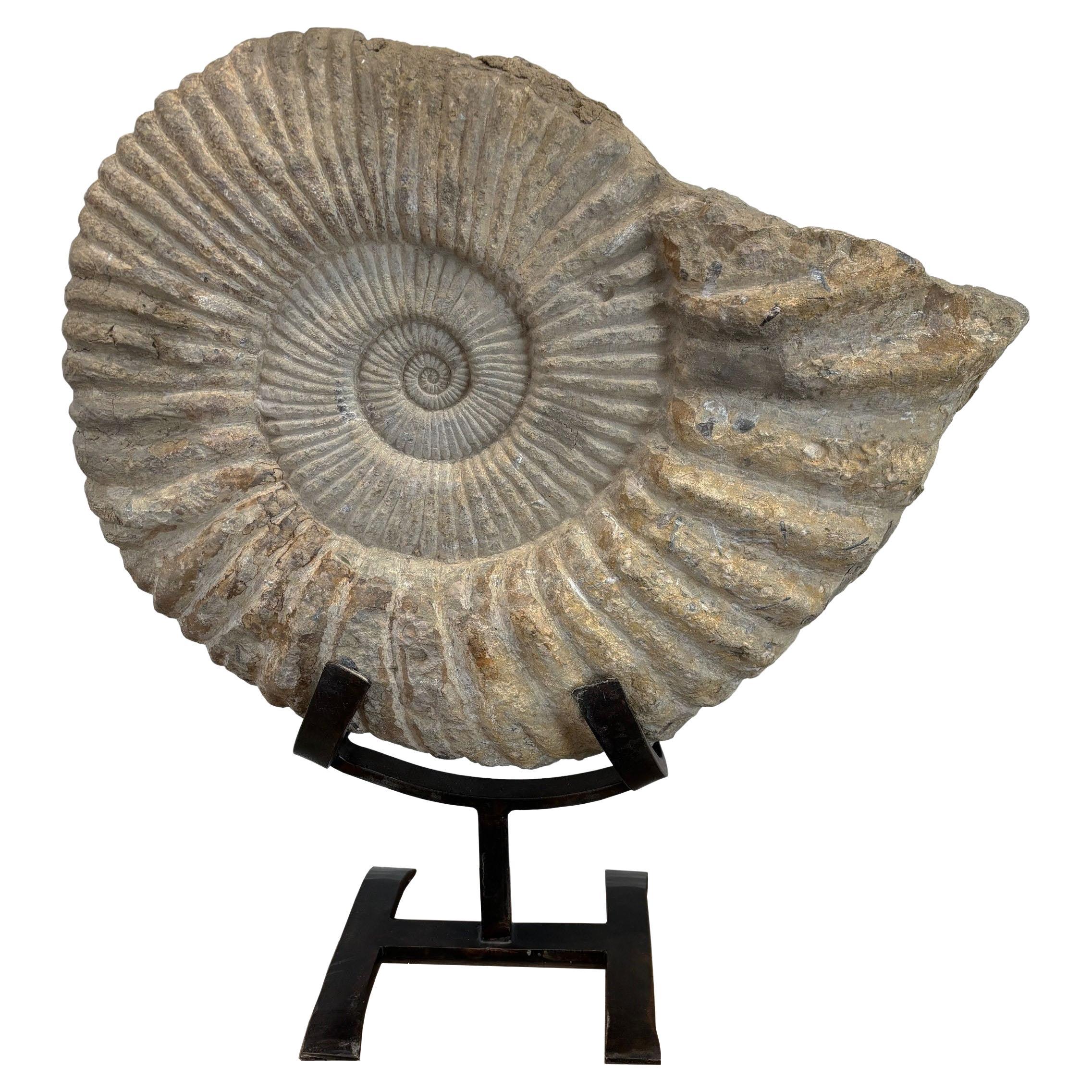 Antique Large Solid Stone Ammonite on Handcrafted Iron Stand en vente