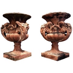 Antique Late 19th Century Terracotta Garden Vases